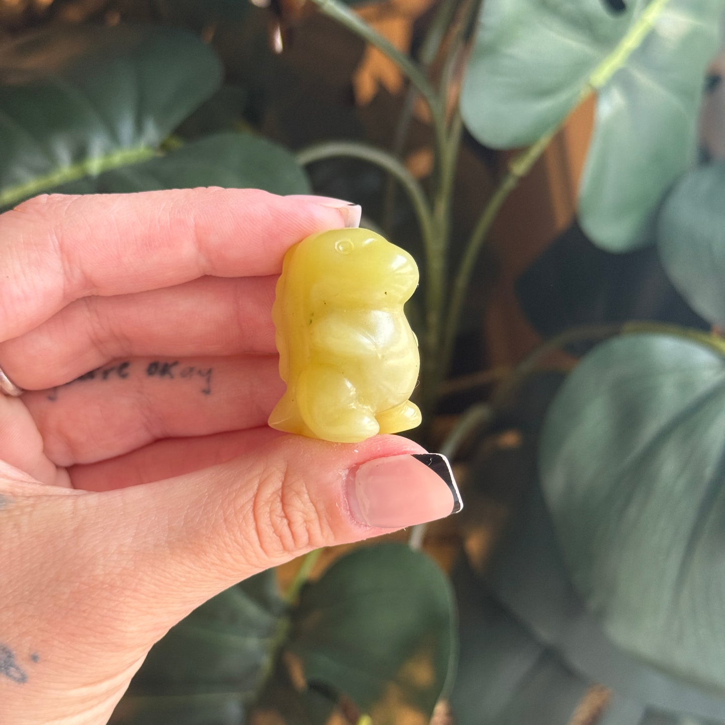 Chubby Dino