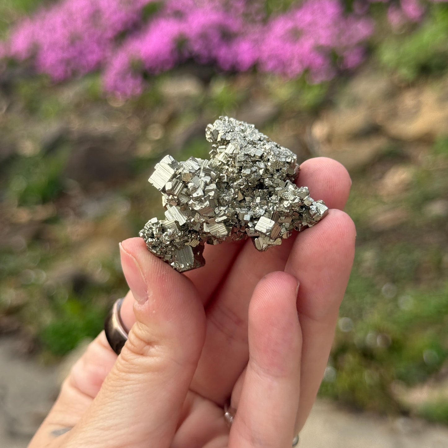 Cubic Pyrite