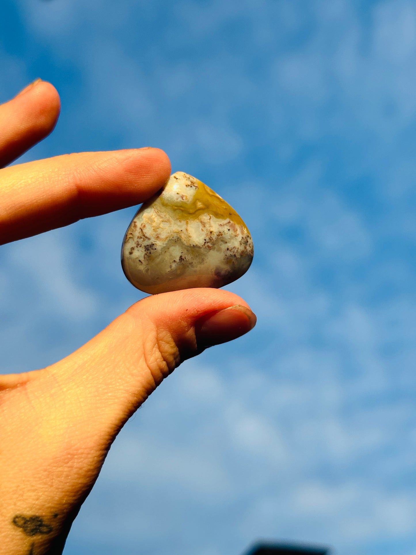 Ocean Jasper Cabochon