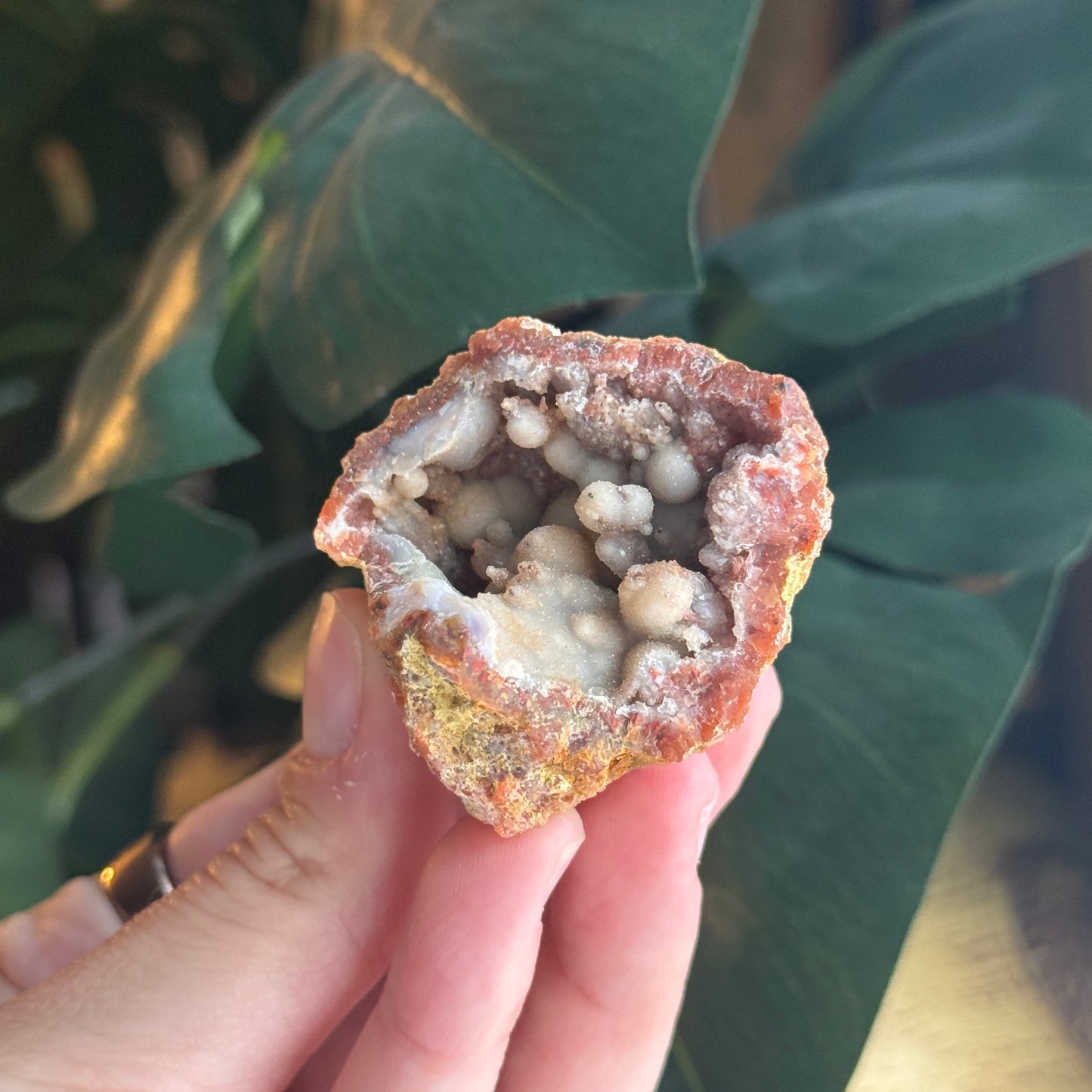 Botryoidal Chalcedony