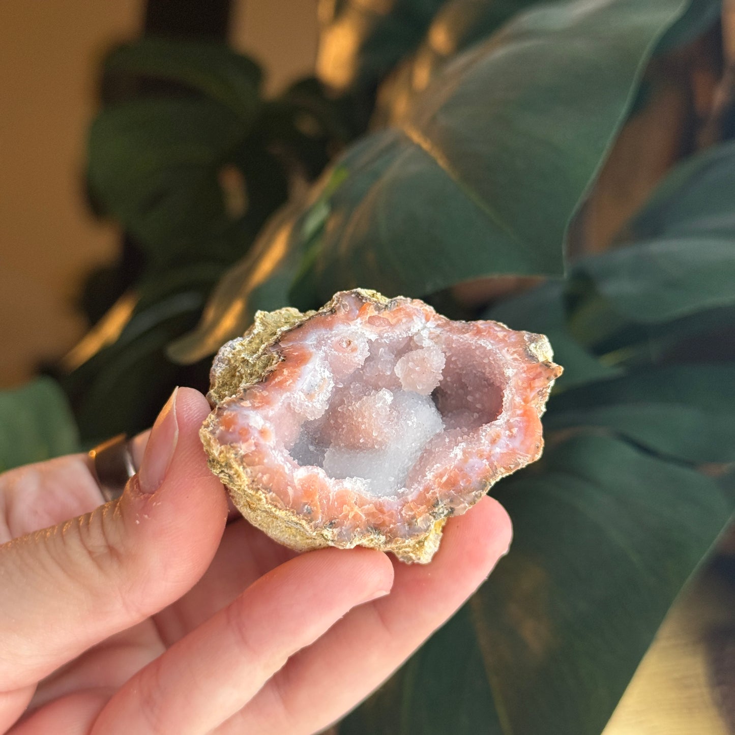 Botryoidal Chalcedony
