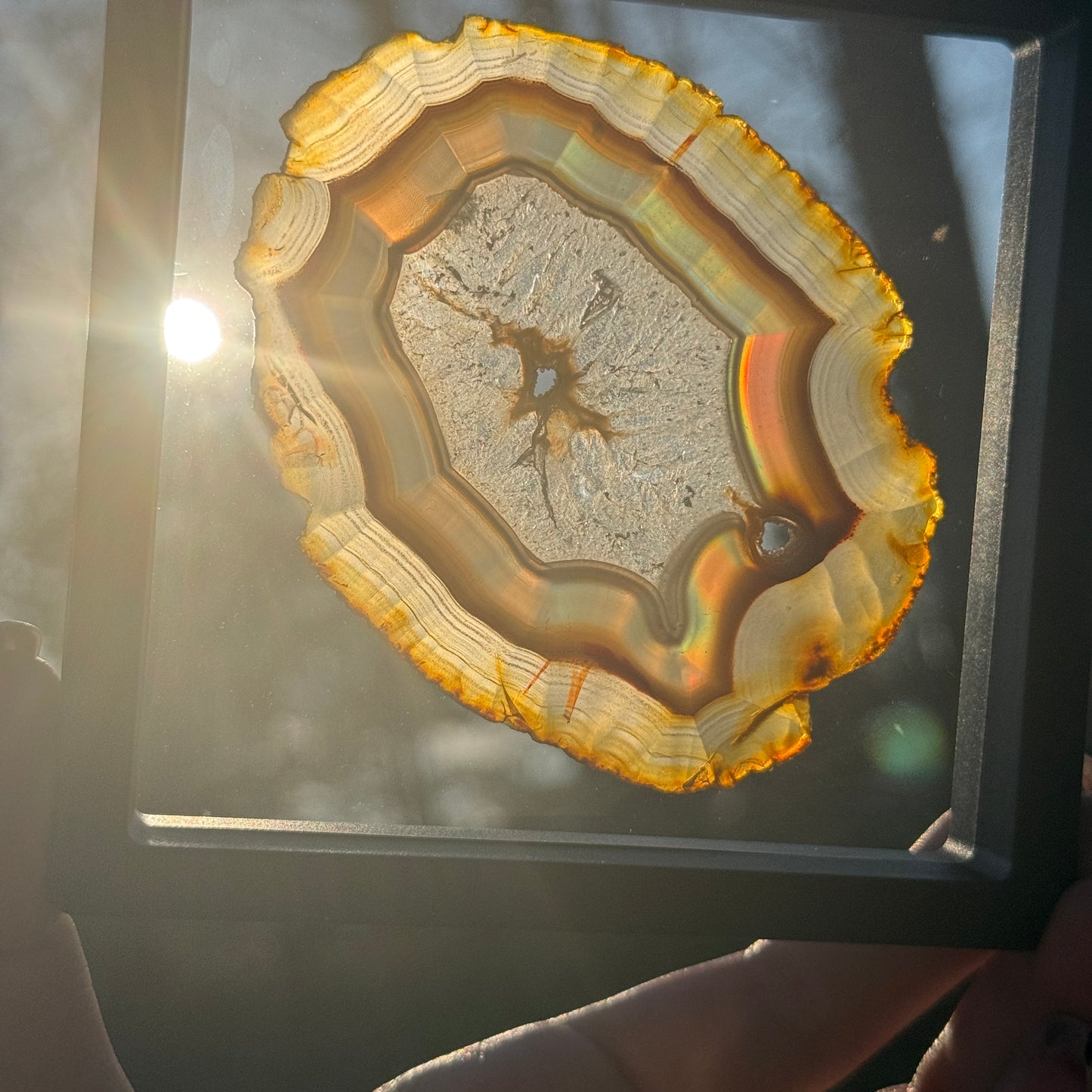 Iris Agate B