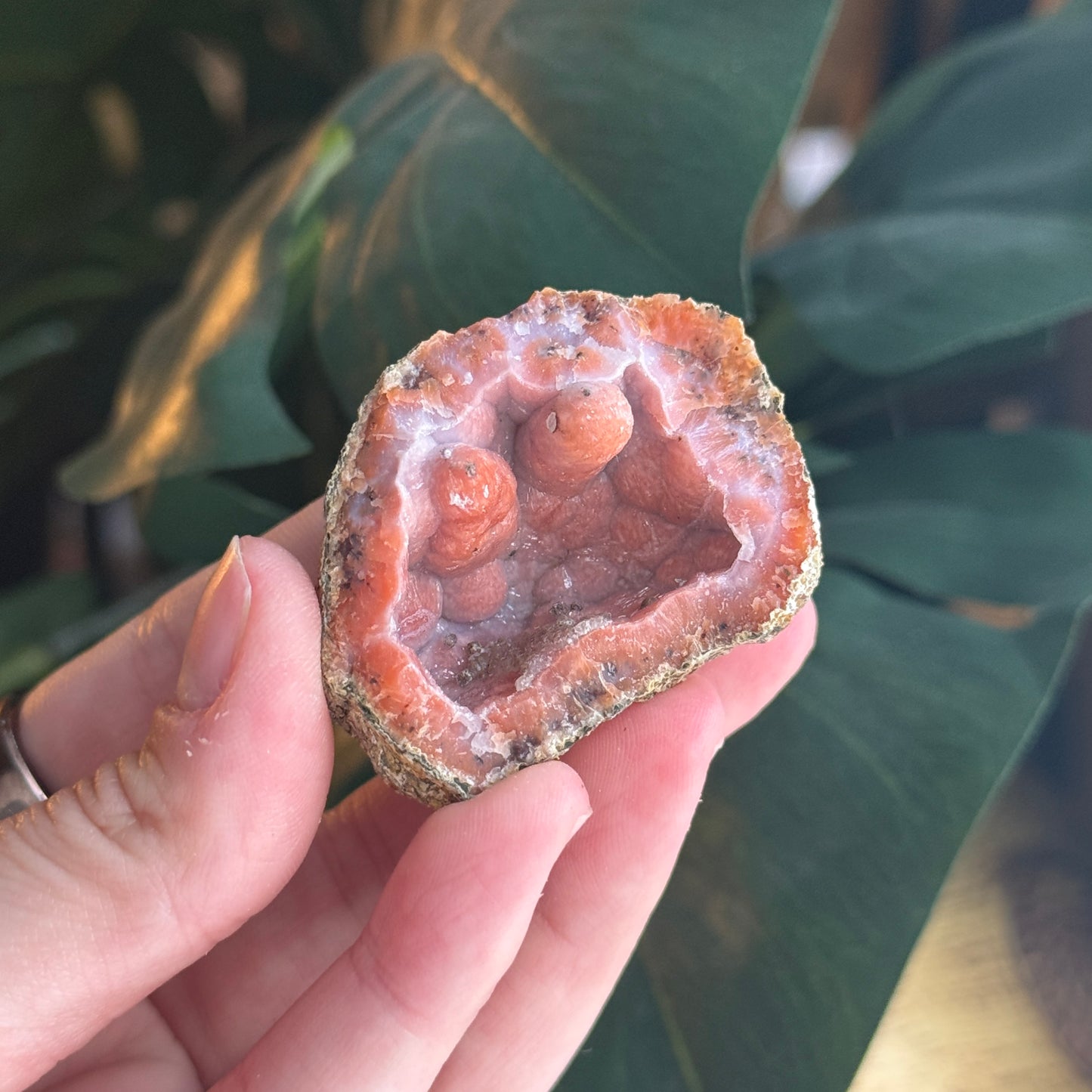 Botryoidal Chalcedony