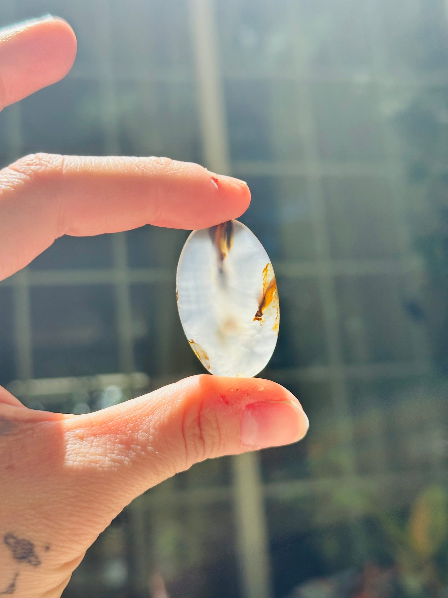 Montana Agate Cabochon