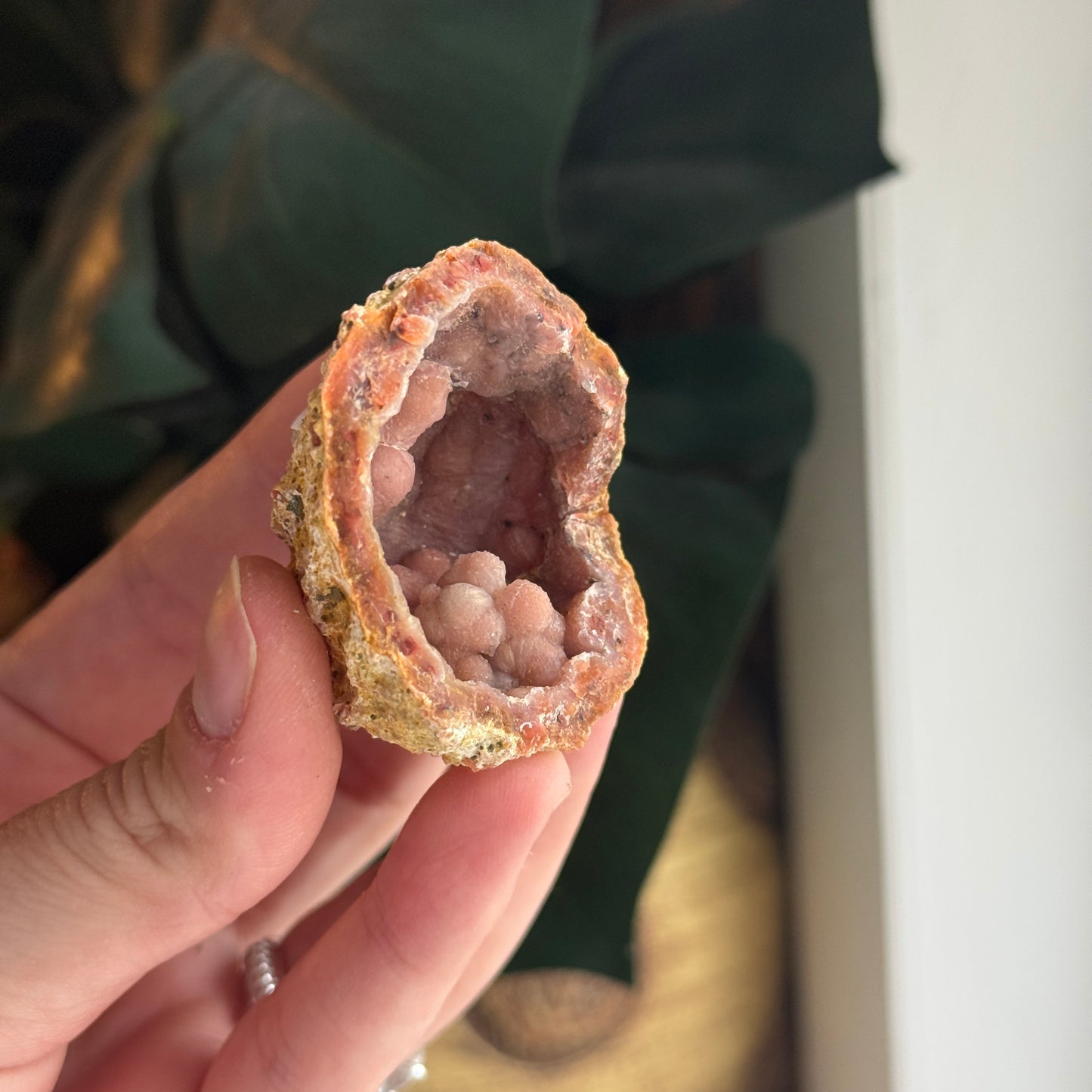 Botryoidal Chalcedony