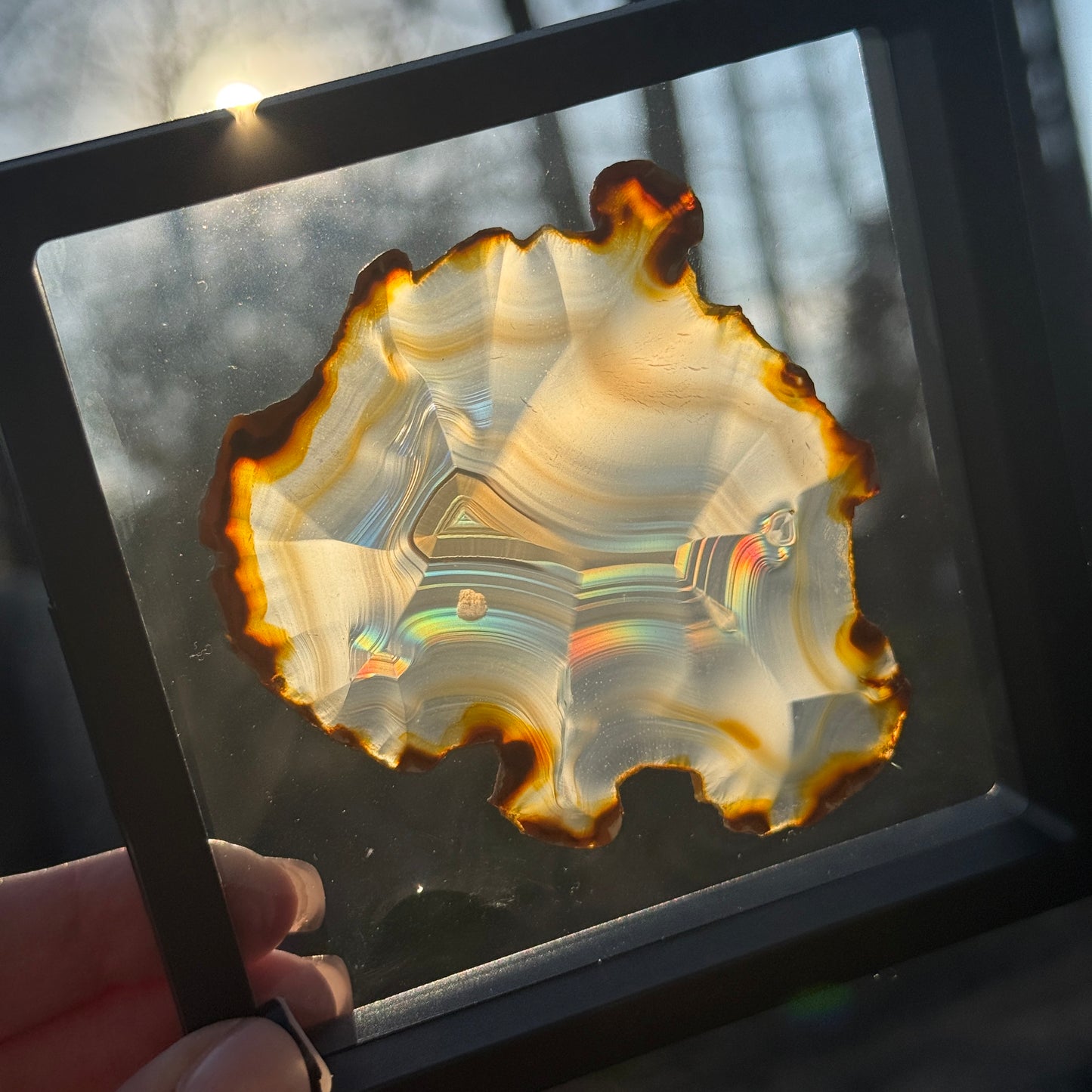 Iris Agate C