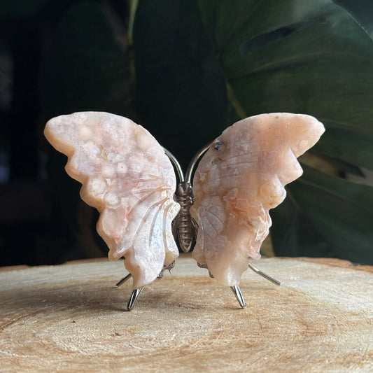 Flower Agate Butterfly C