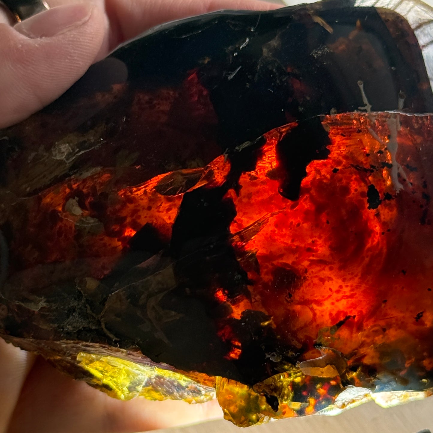 Sumatran Amber
