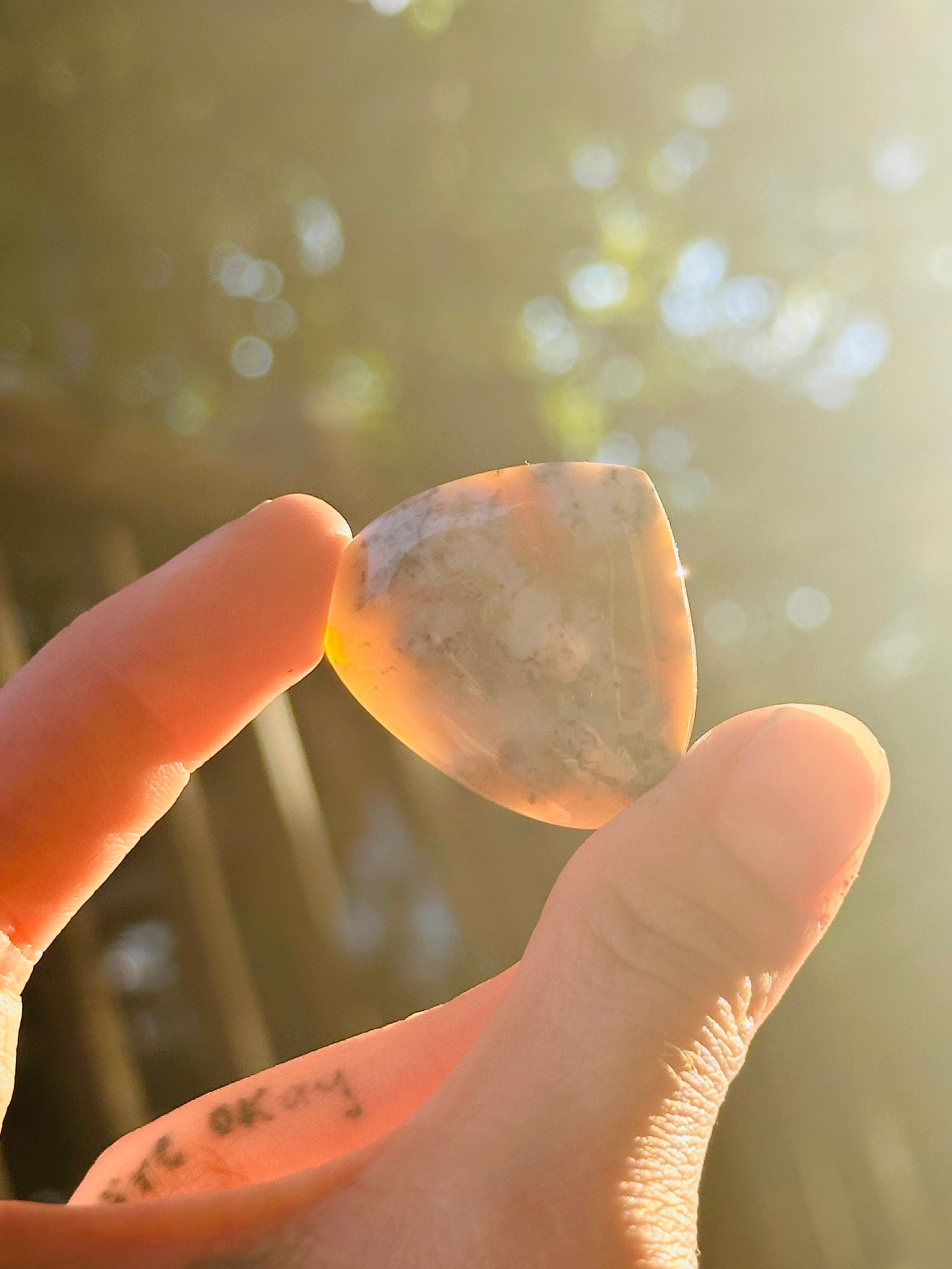 Ocean Jasper Cabochon