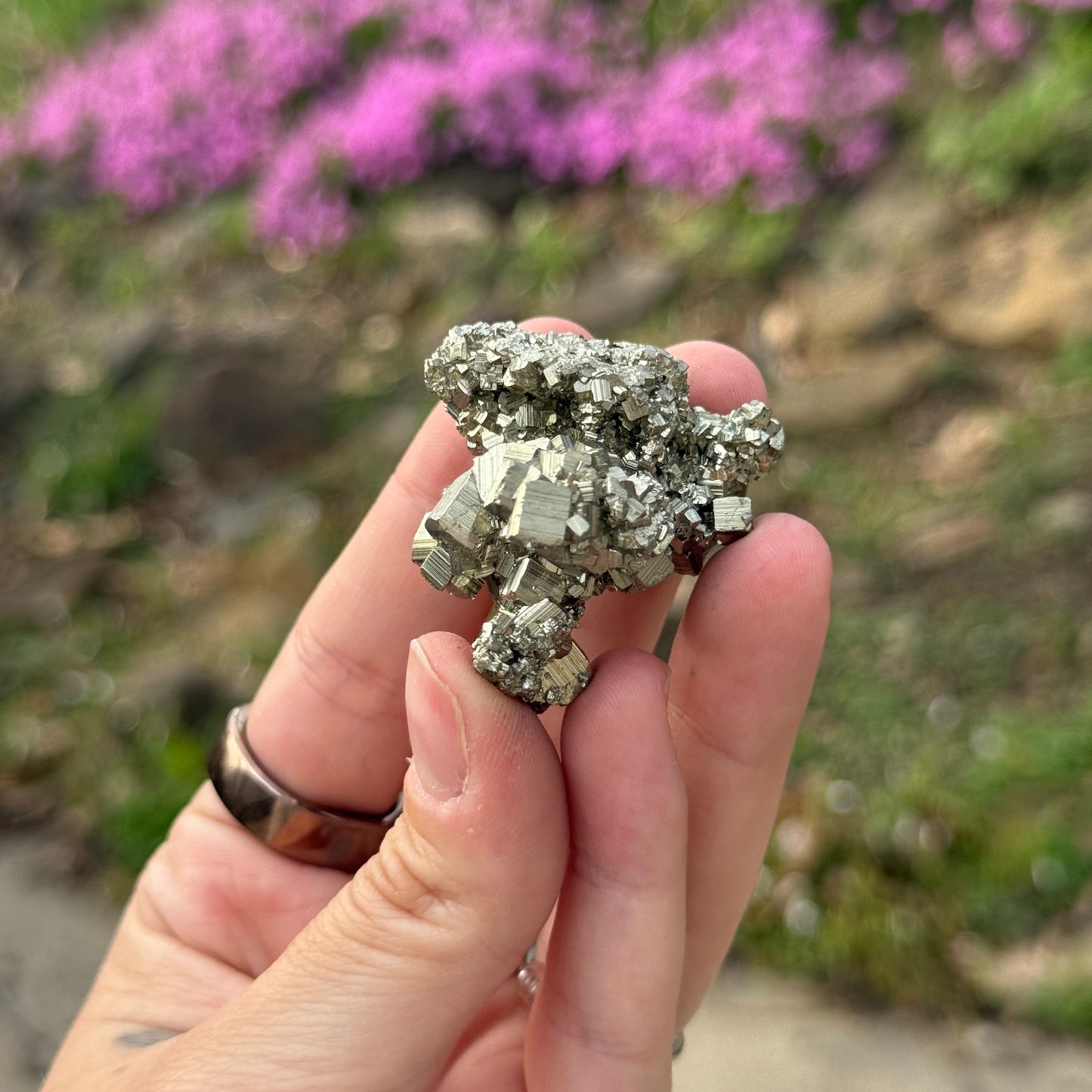 Cubic Pyrite