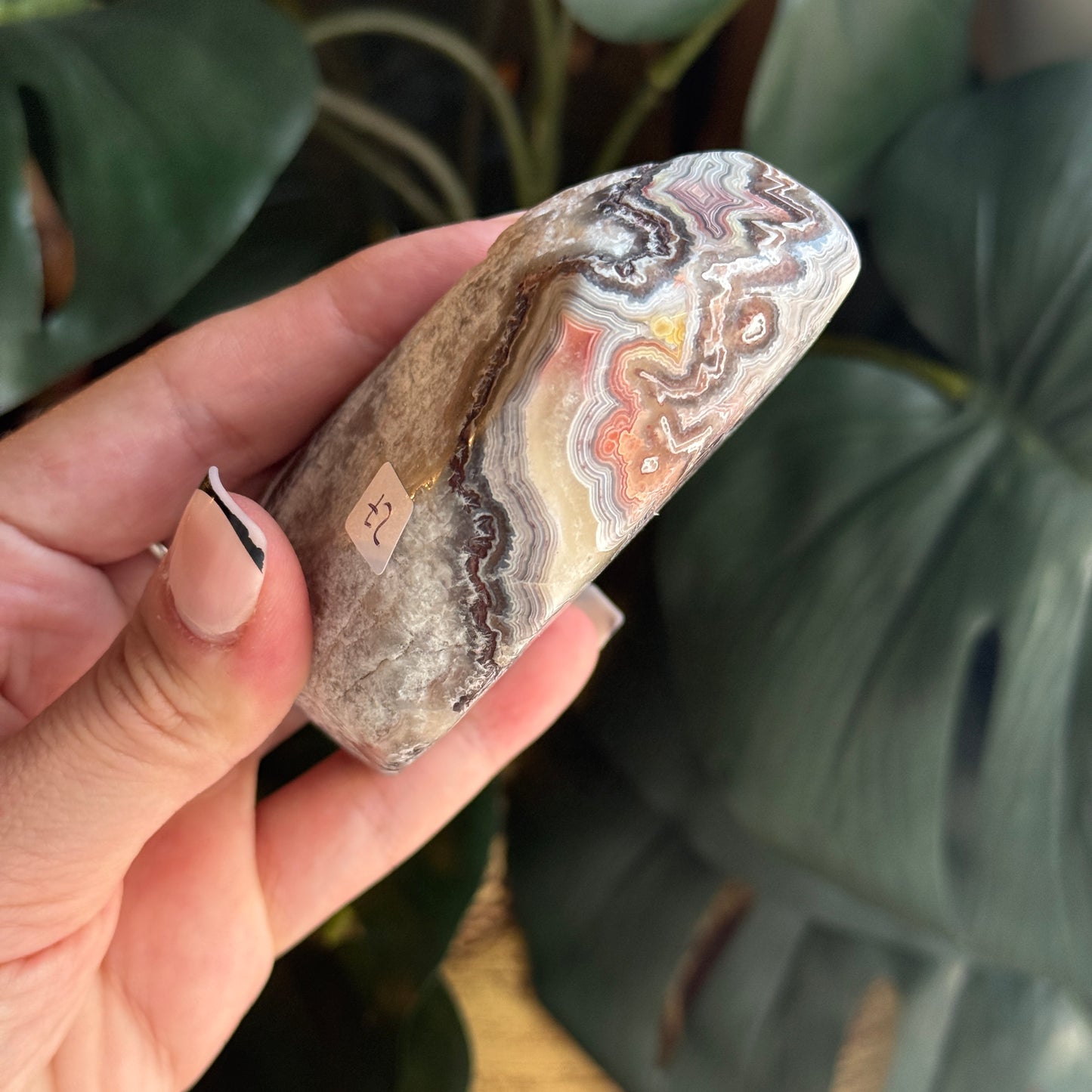 Crazy Lace Agate