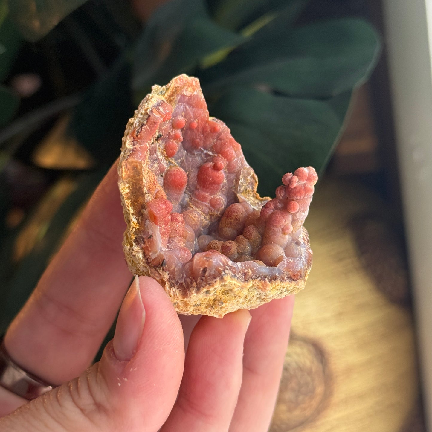 Botryoidal Chalcedony Stalactite