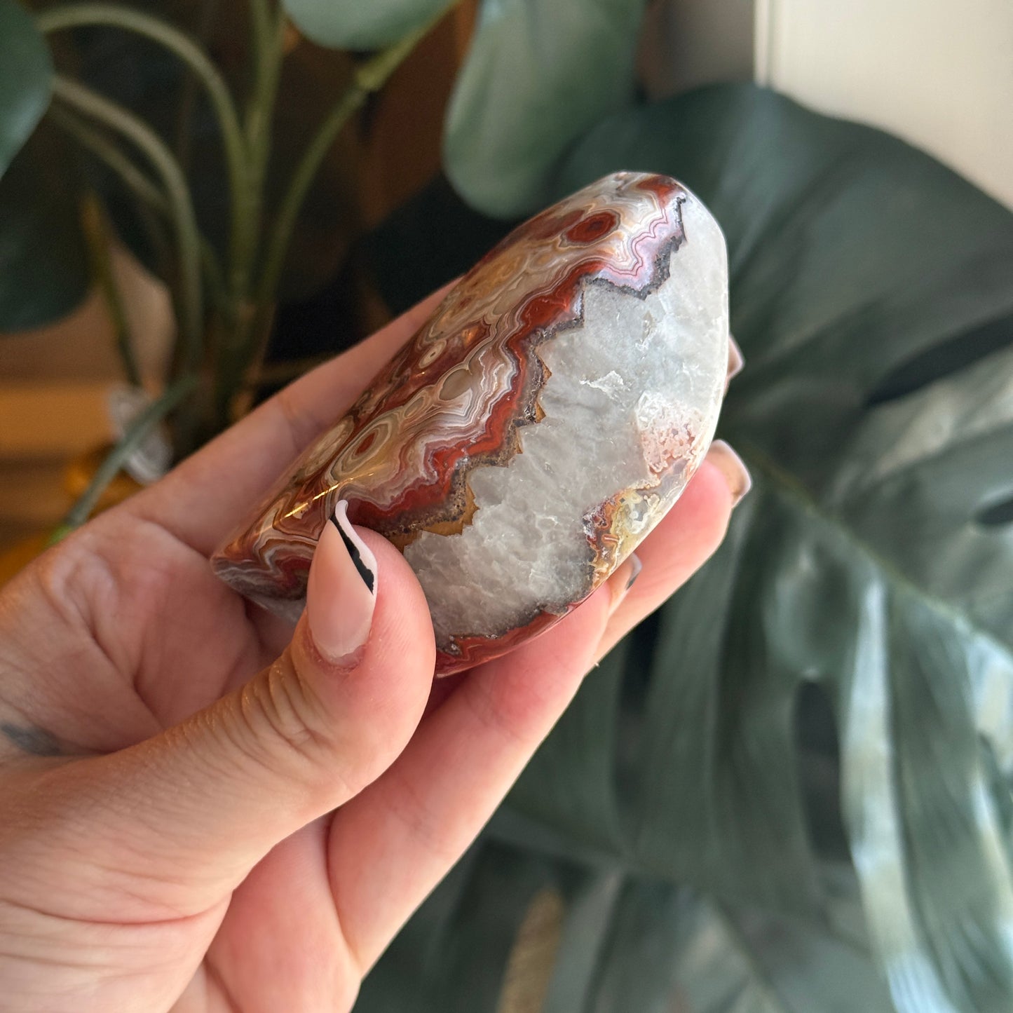Crazy Lace Agate