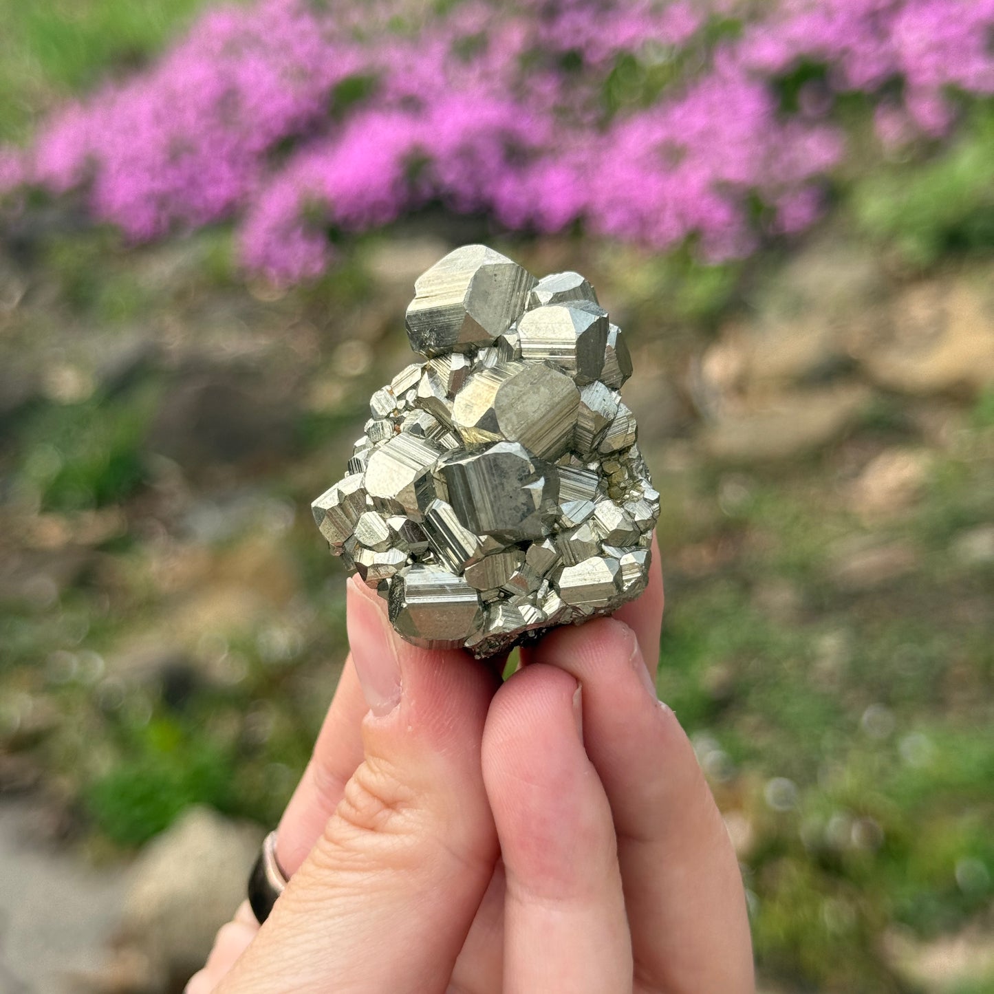 Cubic Pyrite