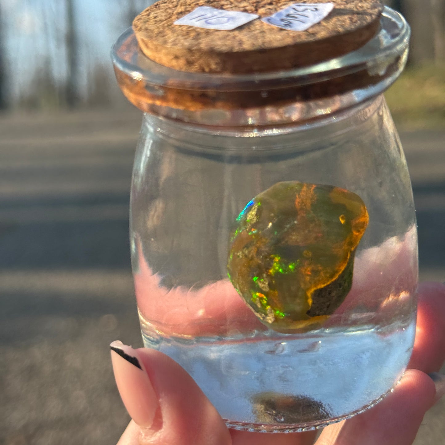Water Opal 13.66g