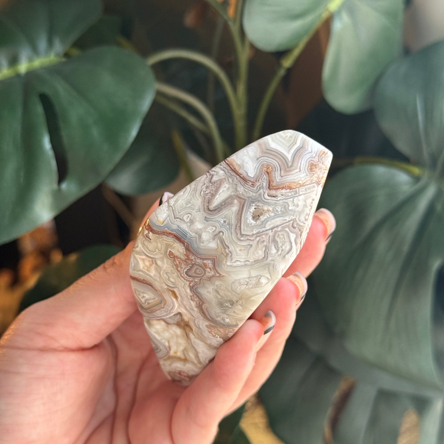 Crazy Lace Agate