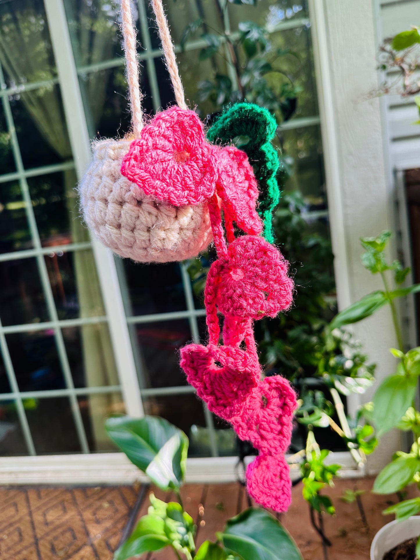 Crochet Hanging Plant