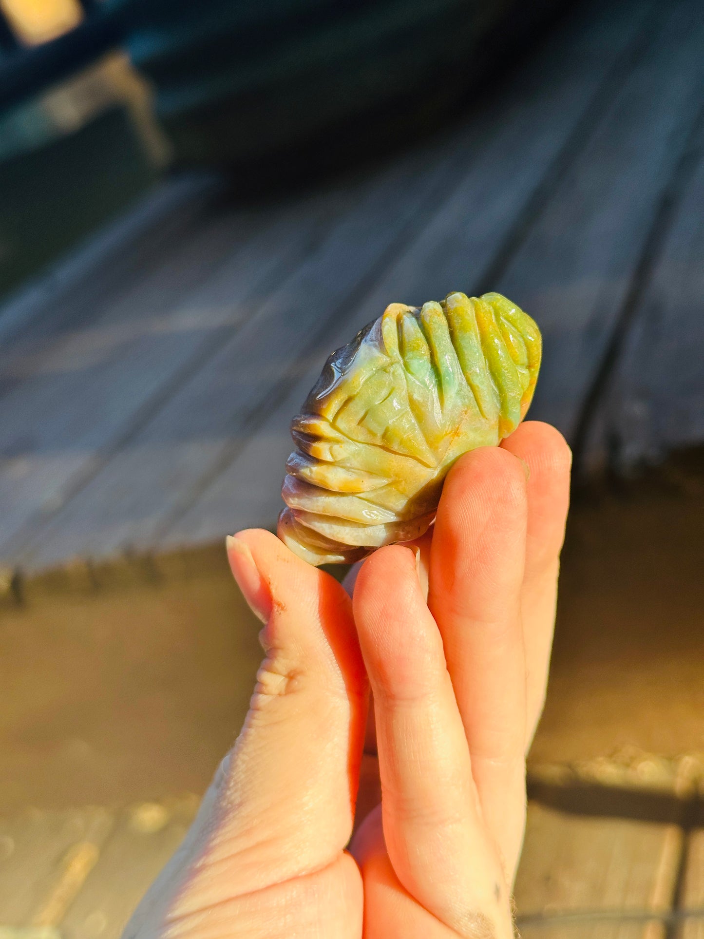 Little Jasper Crab