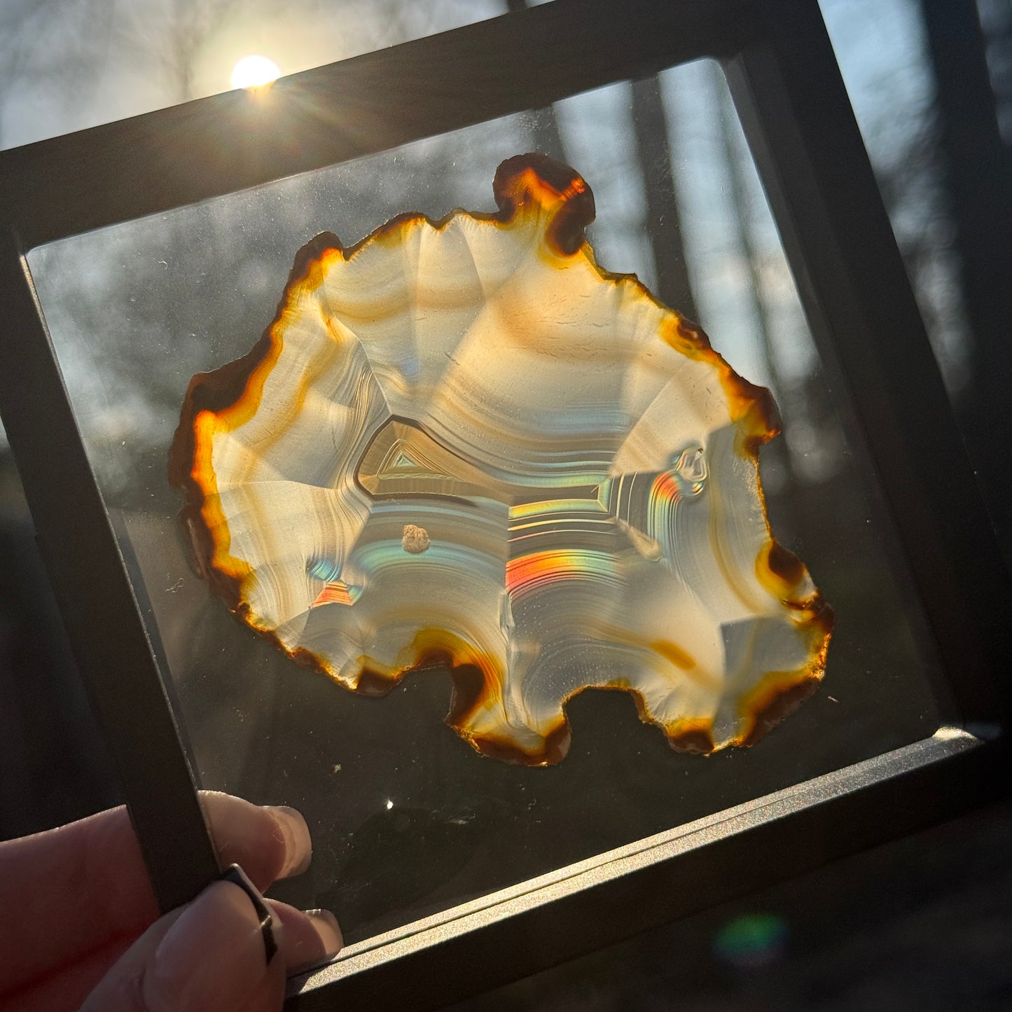 Iris Agate C