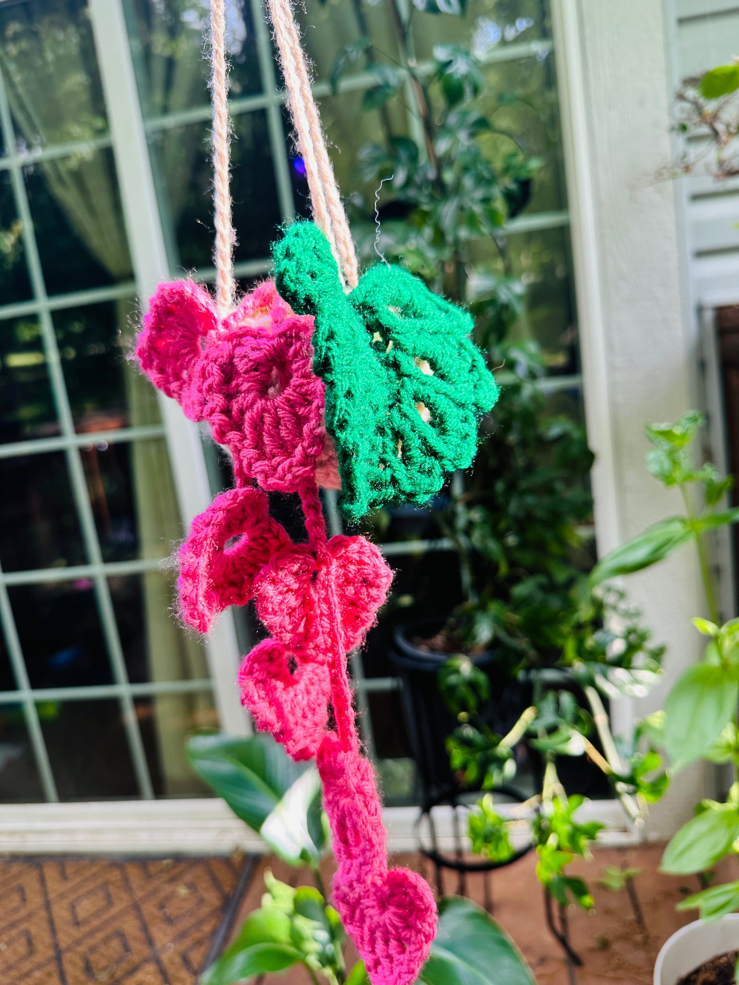 Crochet Hanging Plant