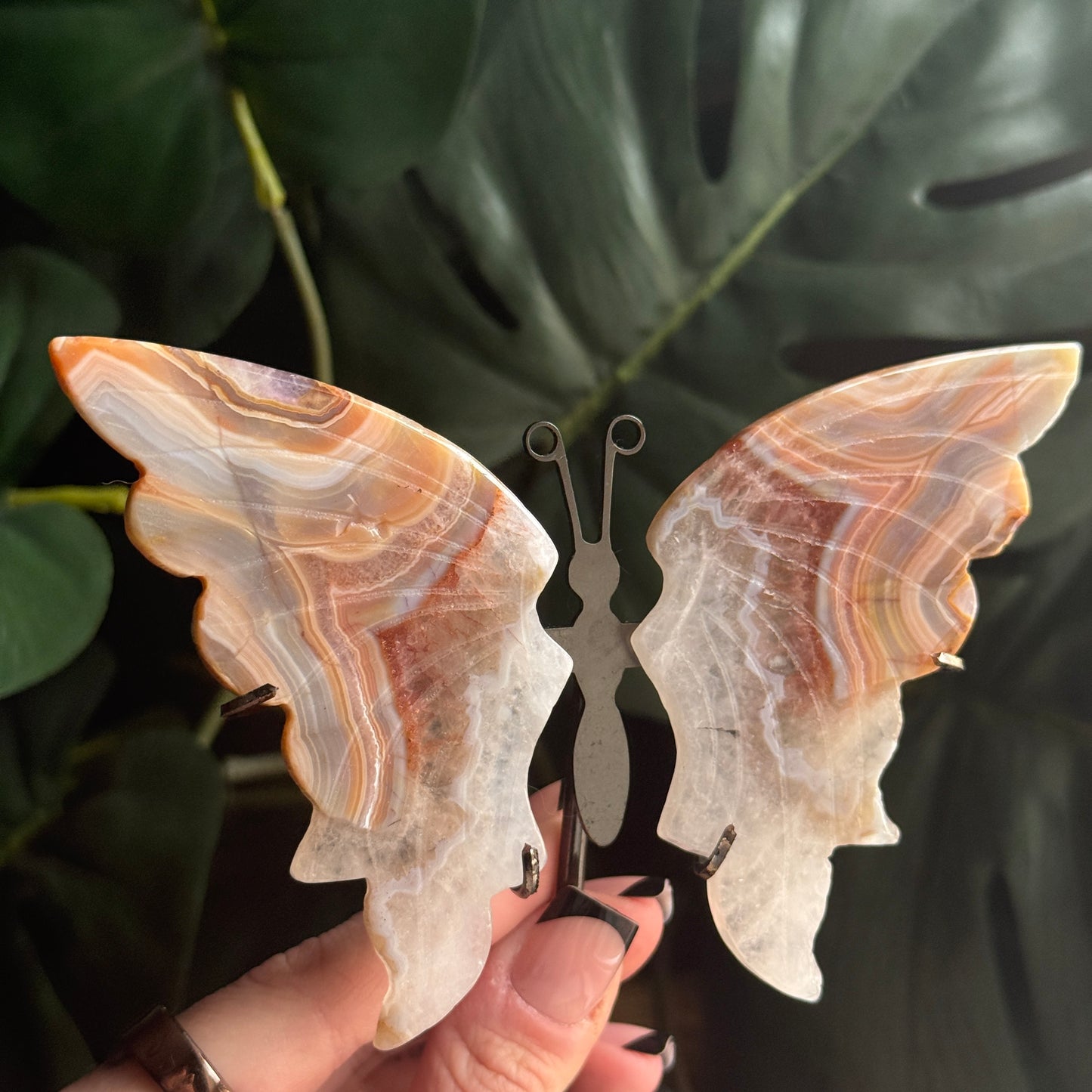 Agate Butterfly Wings on Stand D