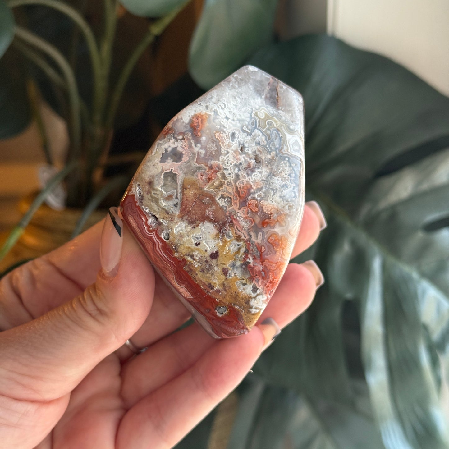 Crazy Lace Agate
