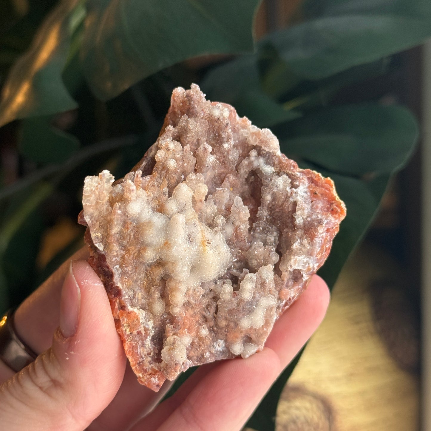Botryoidal Chalcedony Stalactite