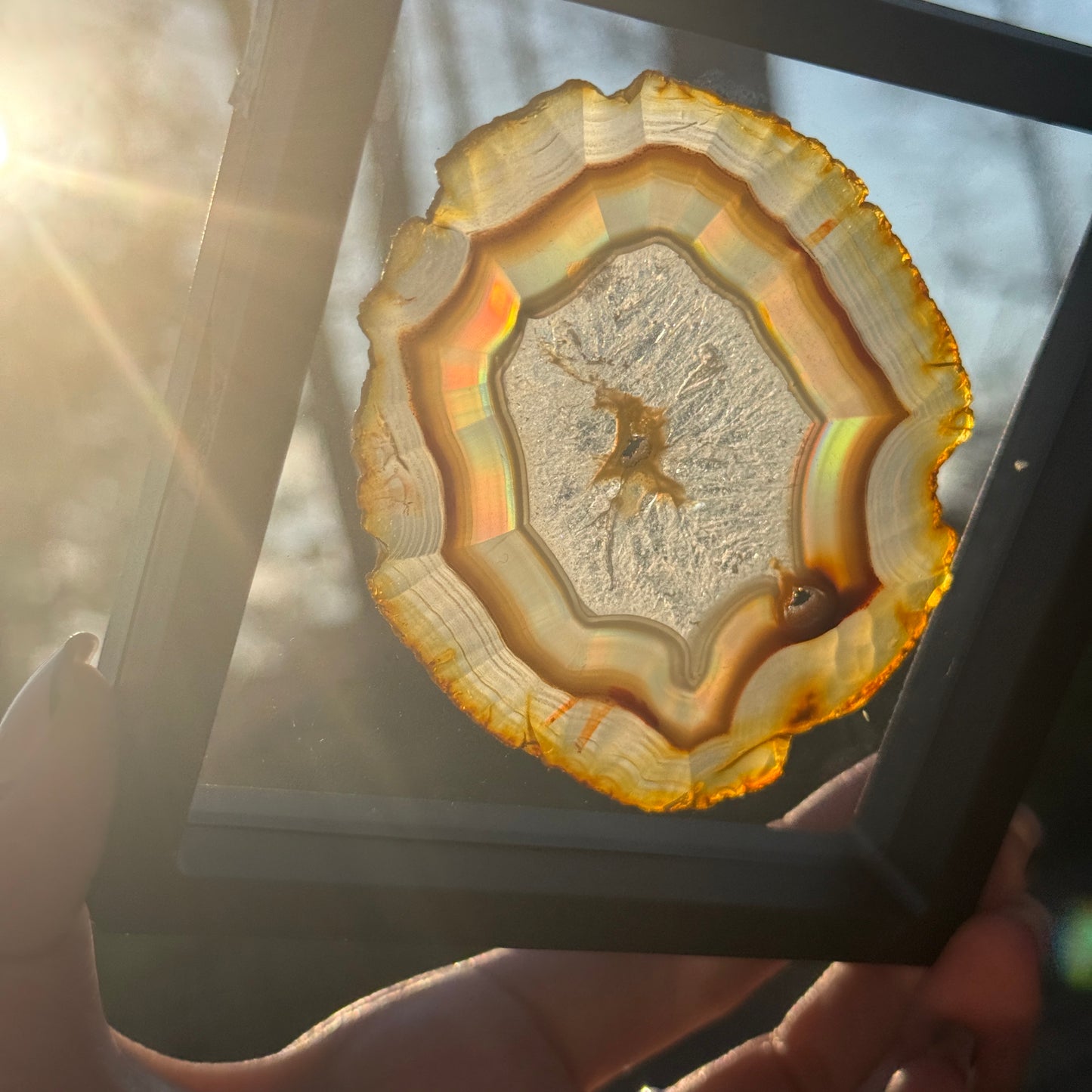 Iris Agate B