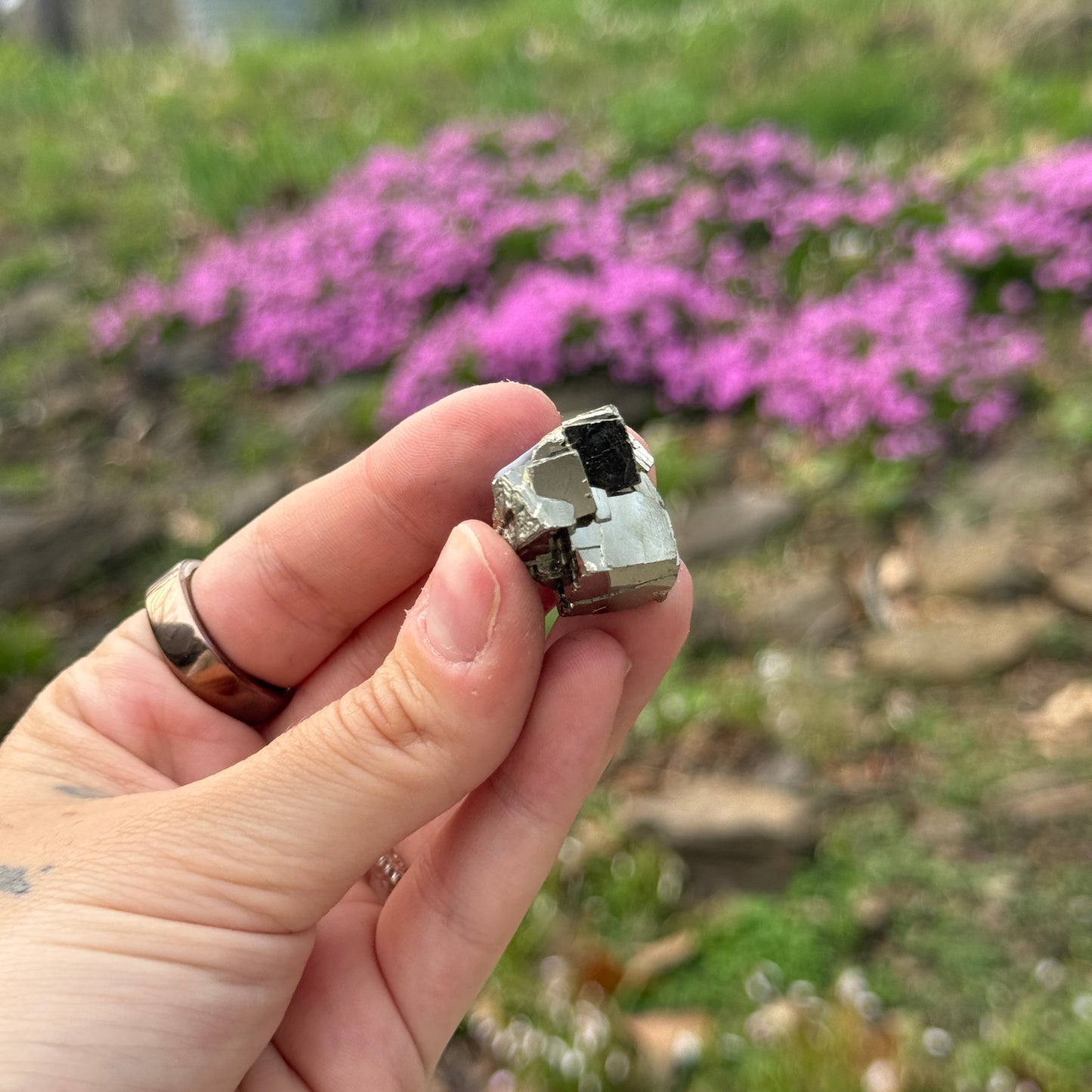 Cubic Pyrite