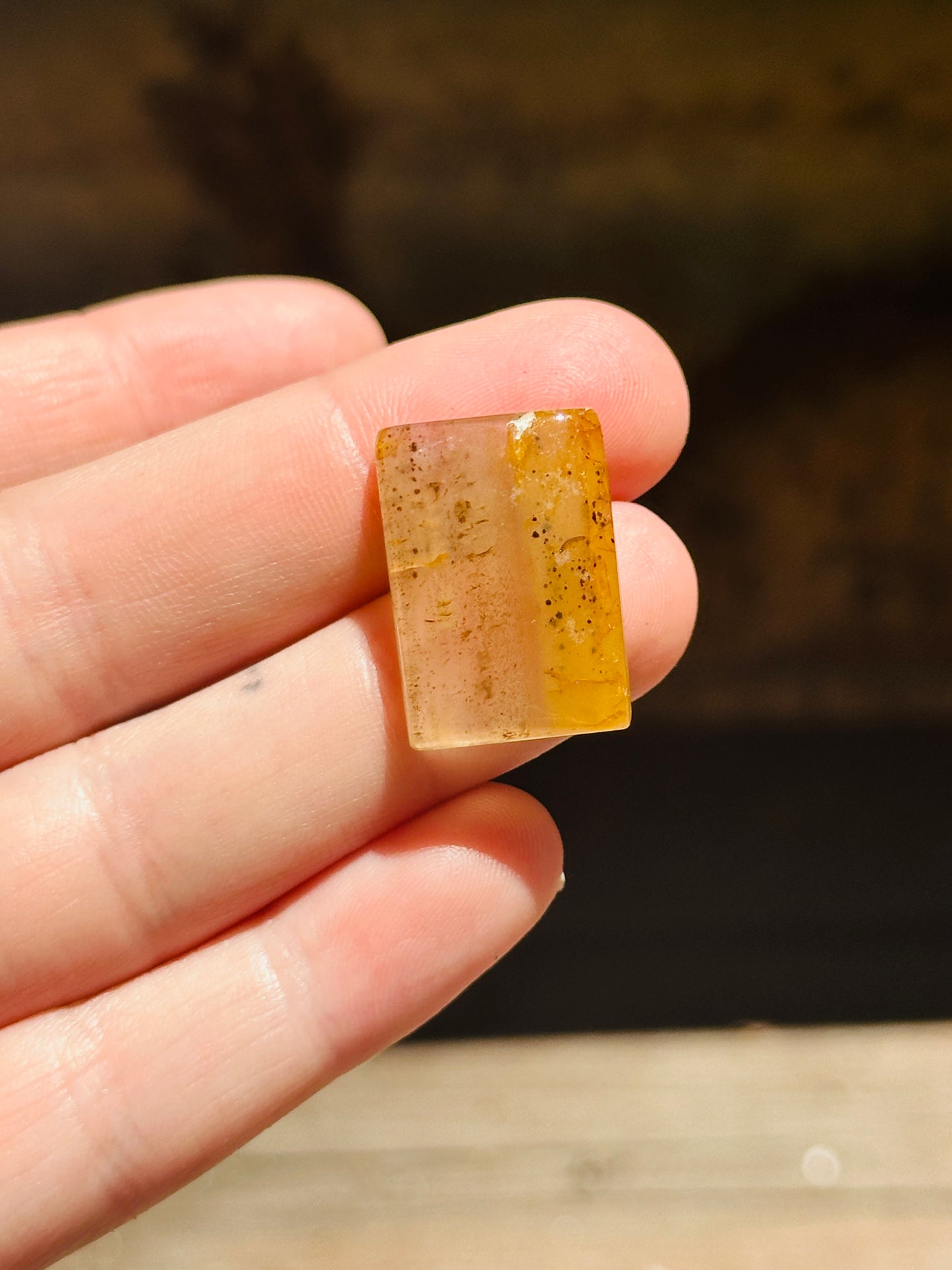 Montana Agate Cabochon