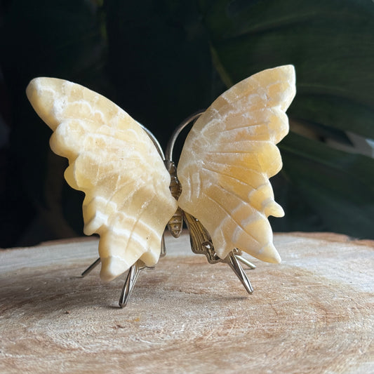 Lemon Calcite Butterfly j