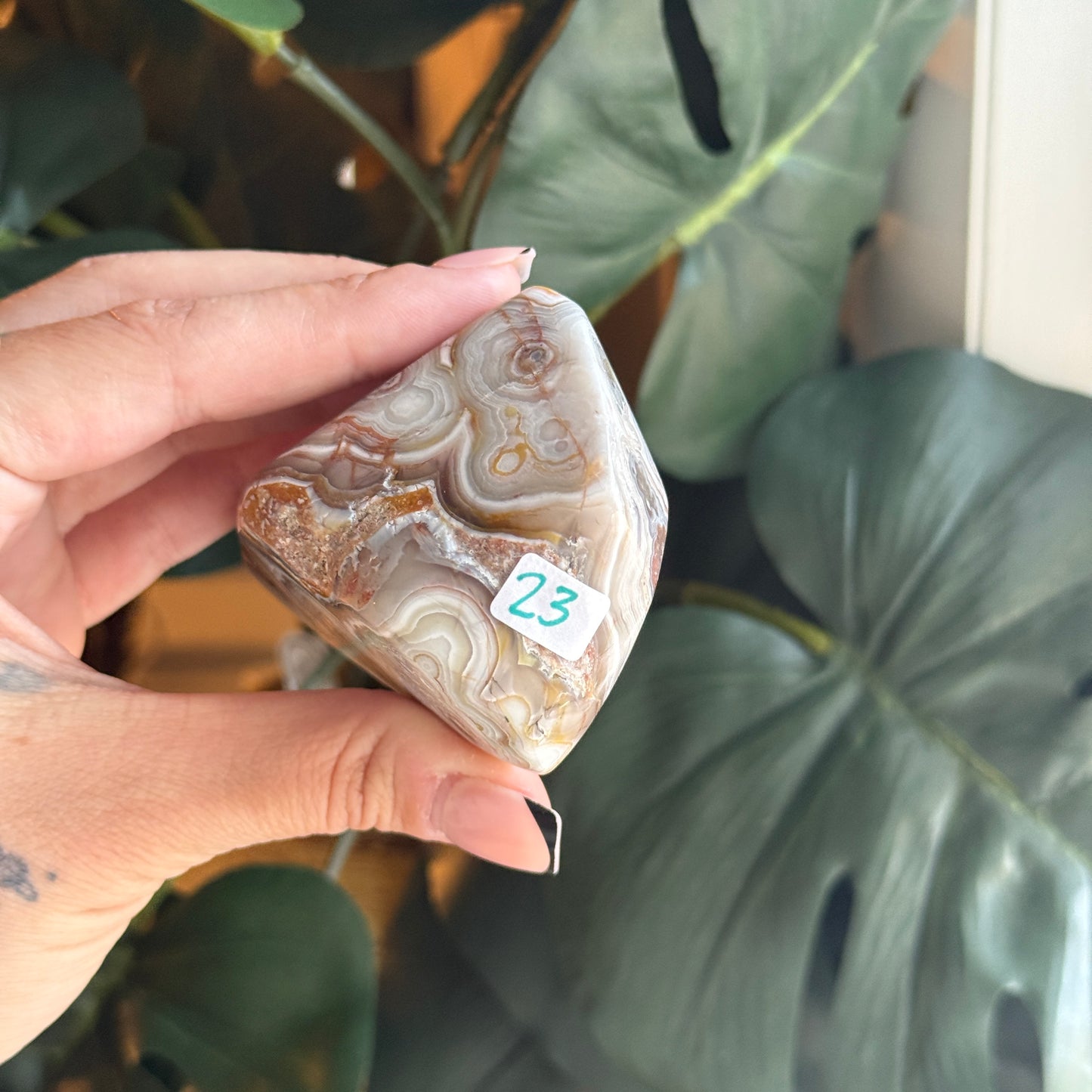 Crazy Lace Agate