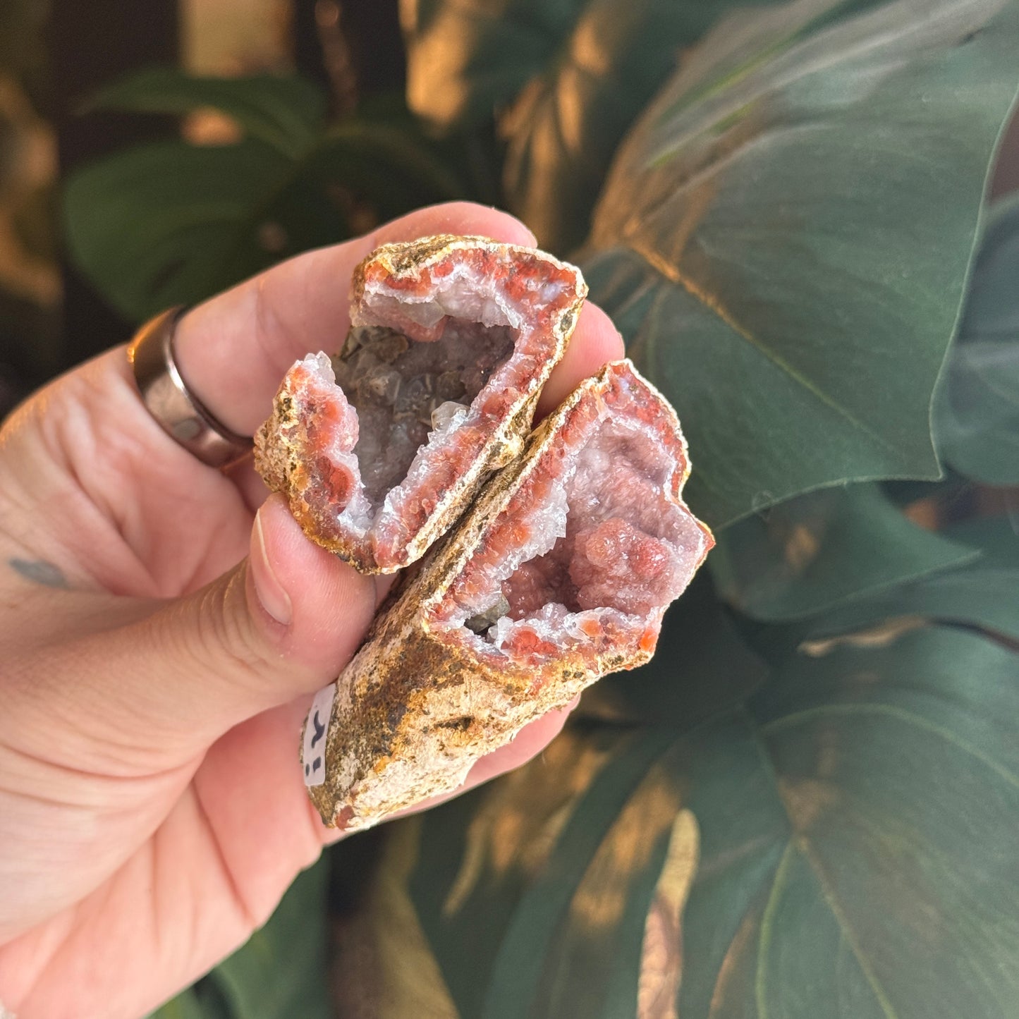 Botryoidal Chalcedony Raw Geode *PAIR*
