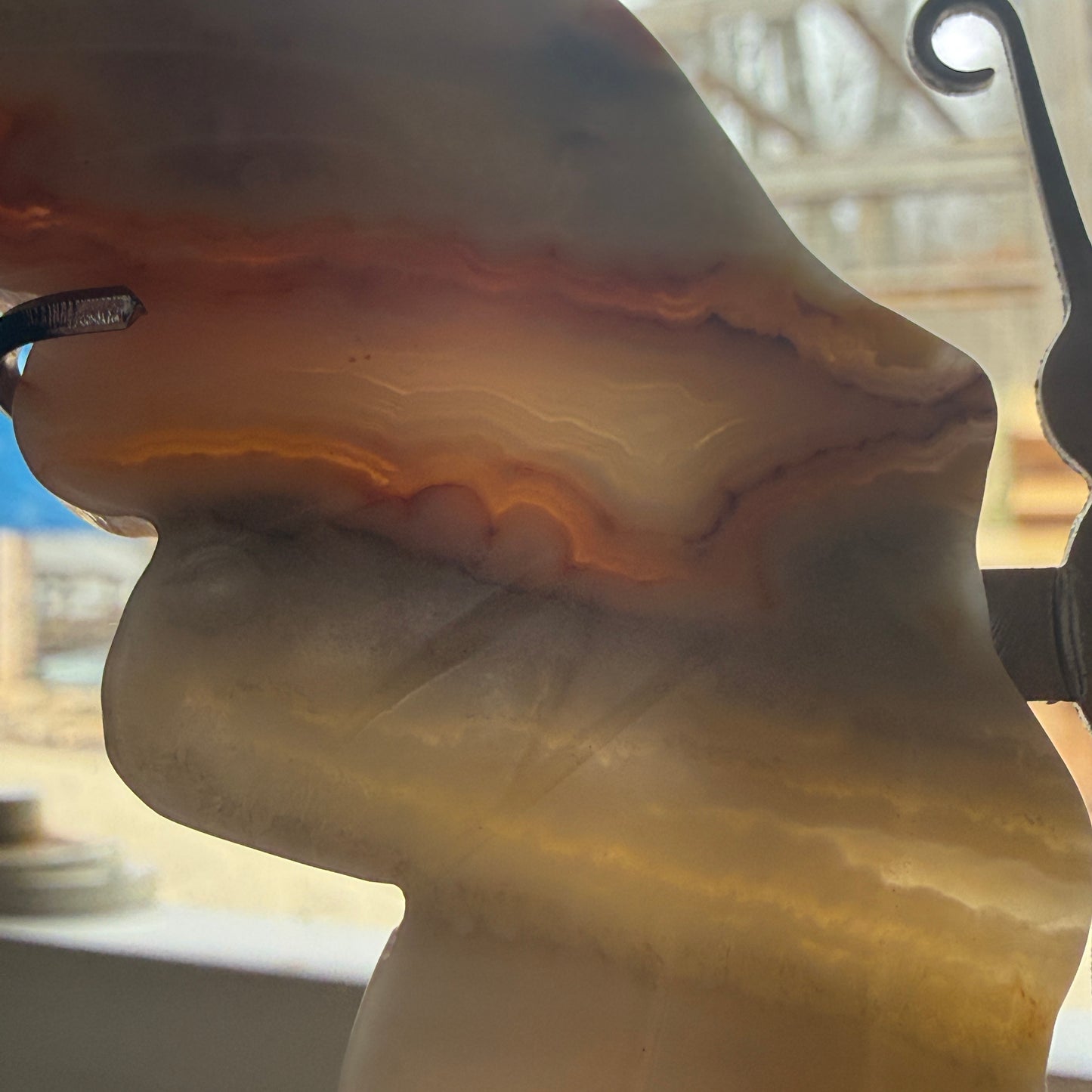 Crazy Lace Agate Butterfly Wings on Stand E