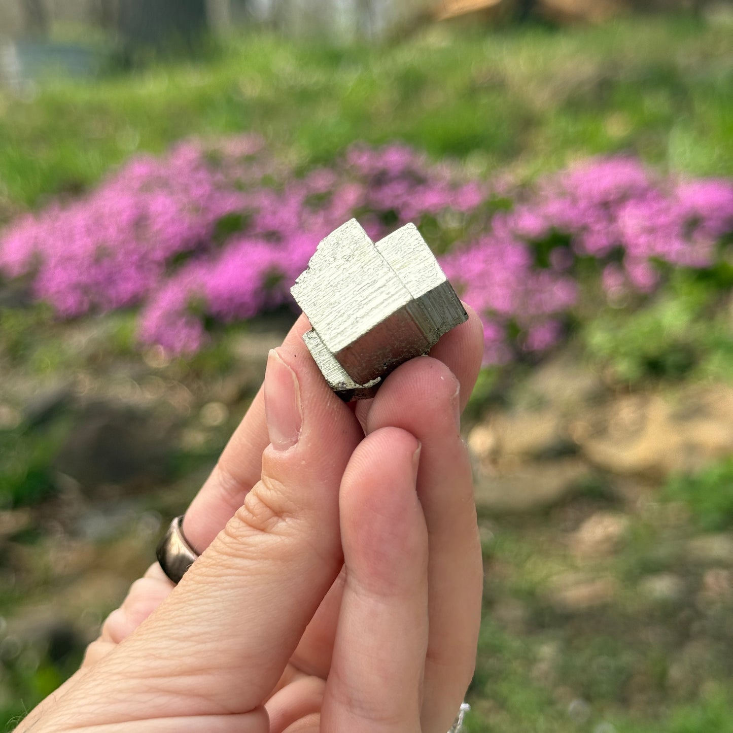 Cubic Pyrite