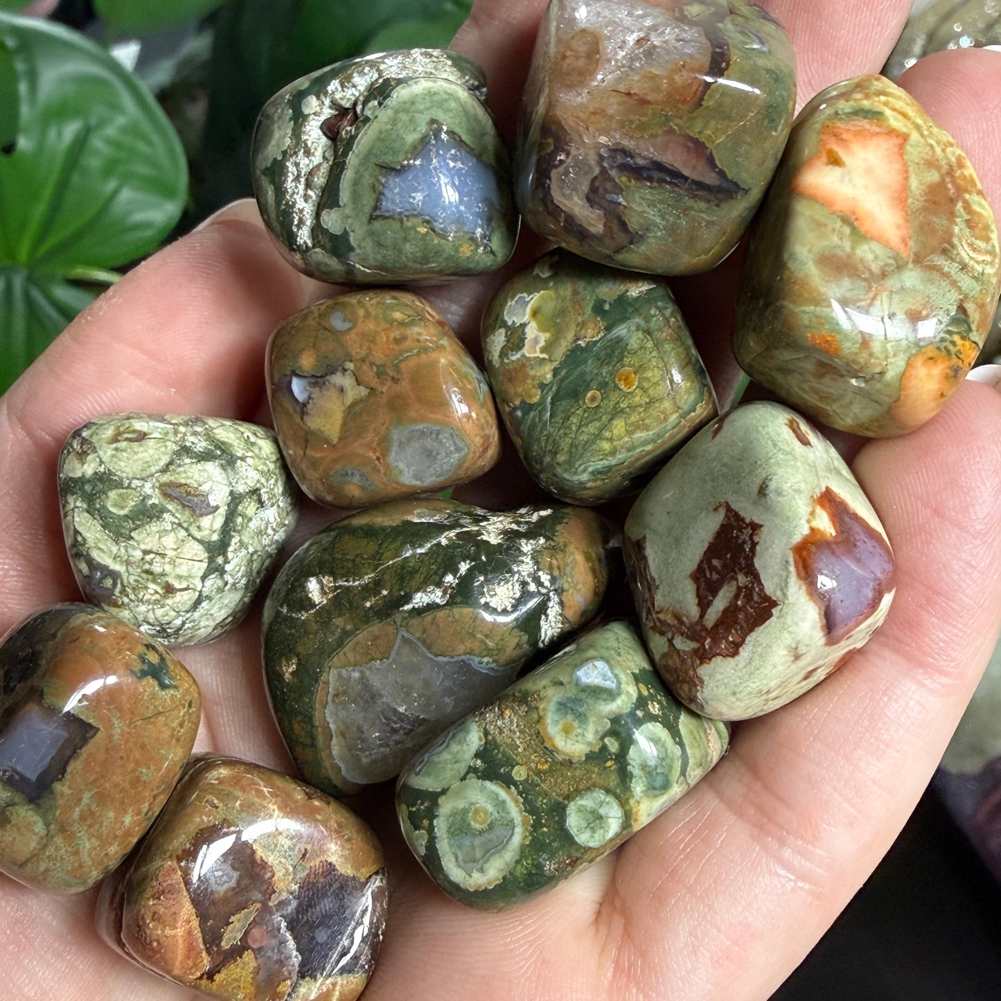 Rhyolite Tumble