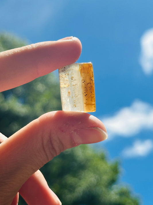 Montana Agate Cabochon