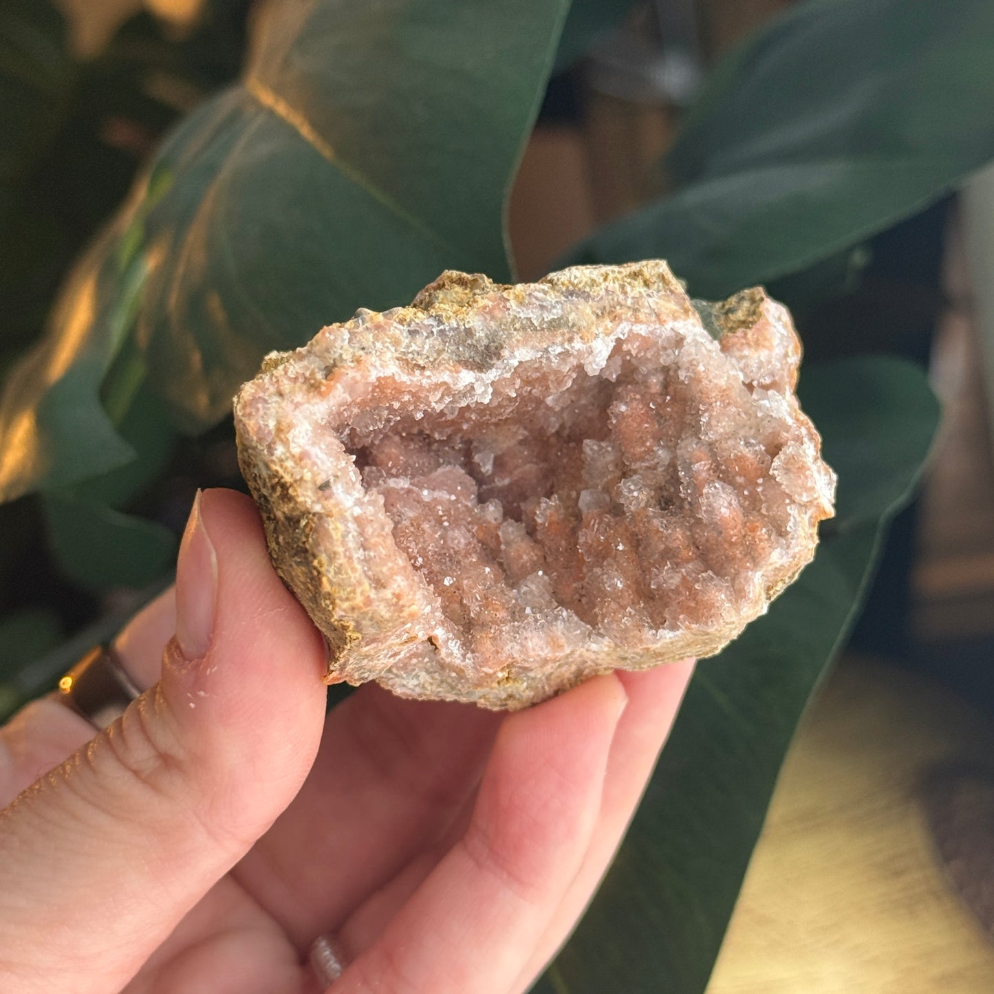 Botryoidal Chalcedony