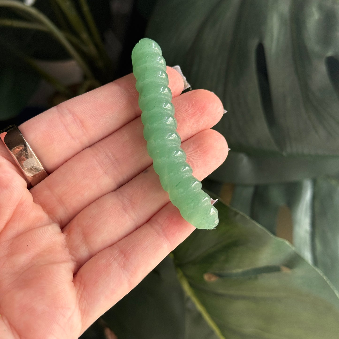 Caterpillar Carving