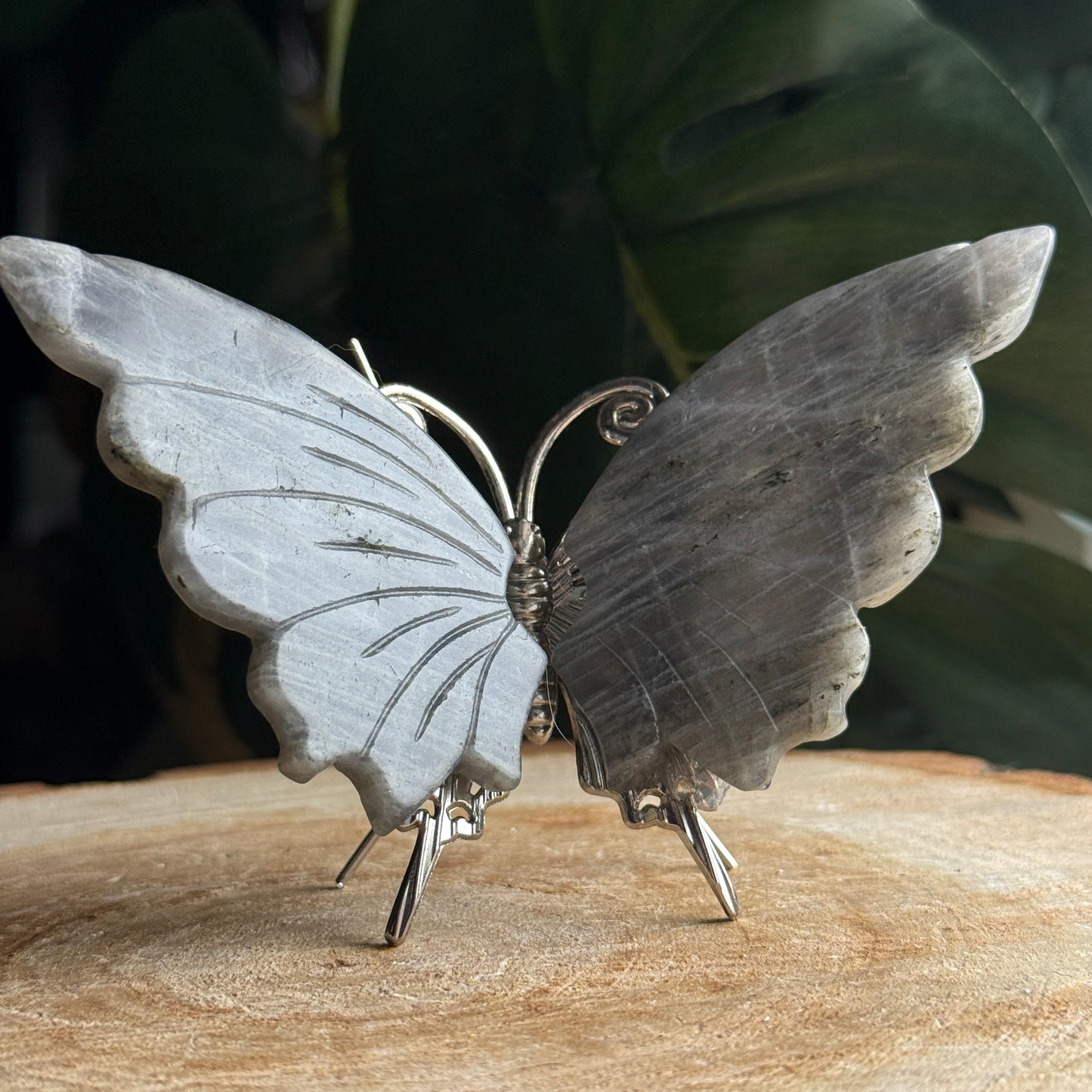 Labradorite Butterfly F