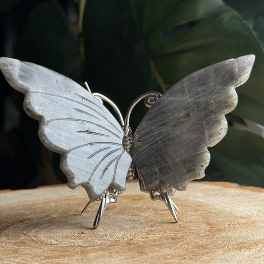 Labradorite Butterfly F