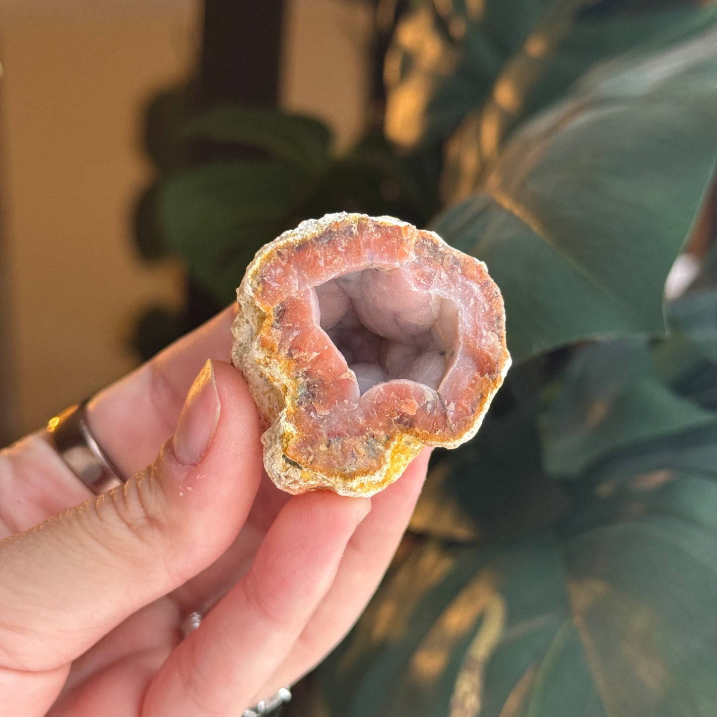 Botryoidal Chalcedony