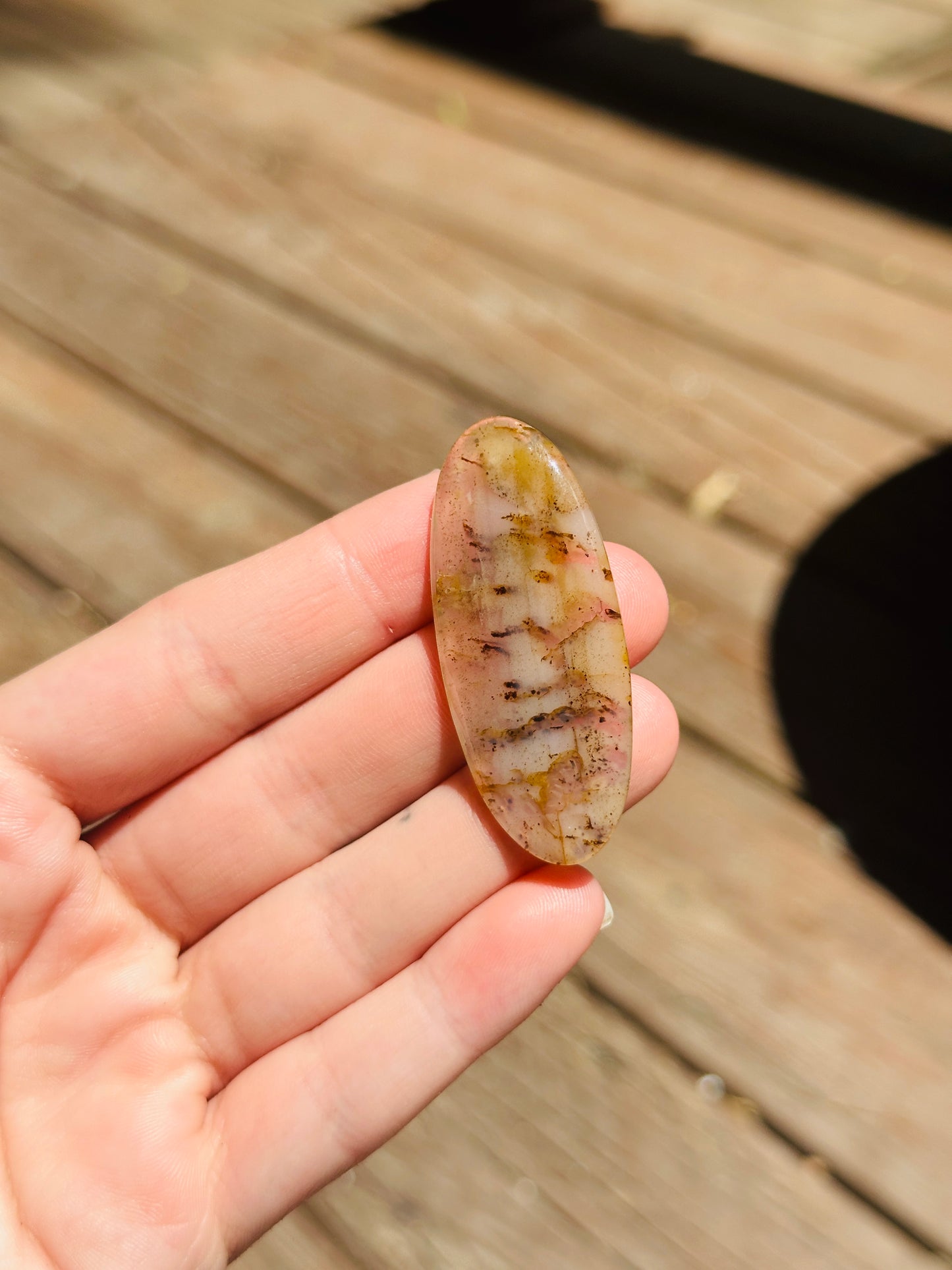 Montana Agate Cabochon