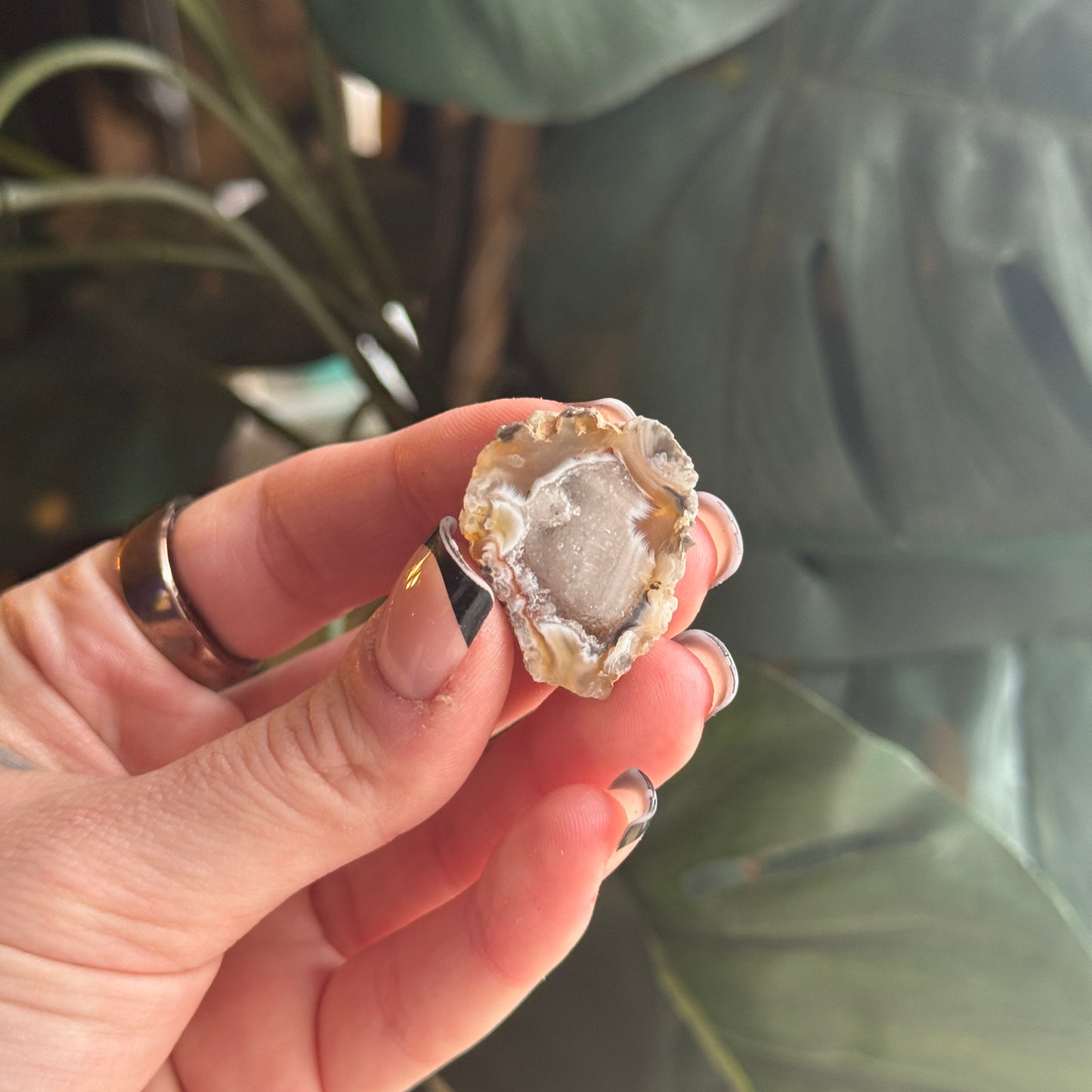 Mini Occo Agate Geode Half (tiff picks)
