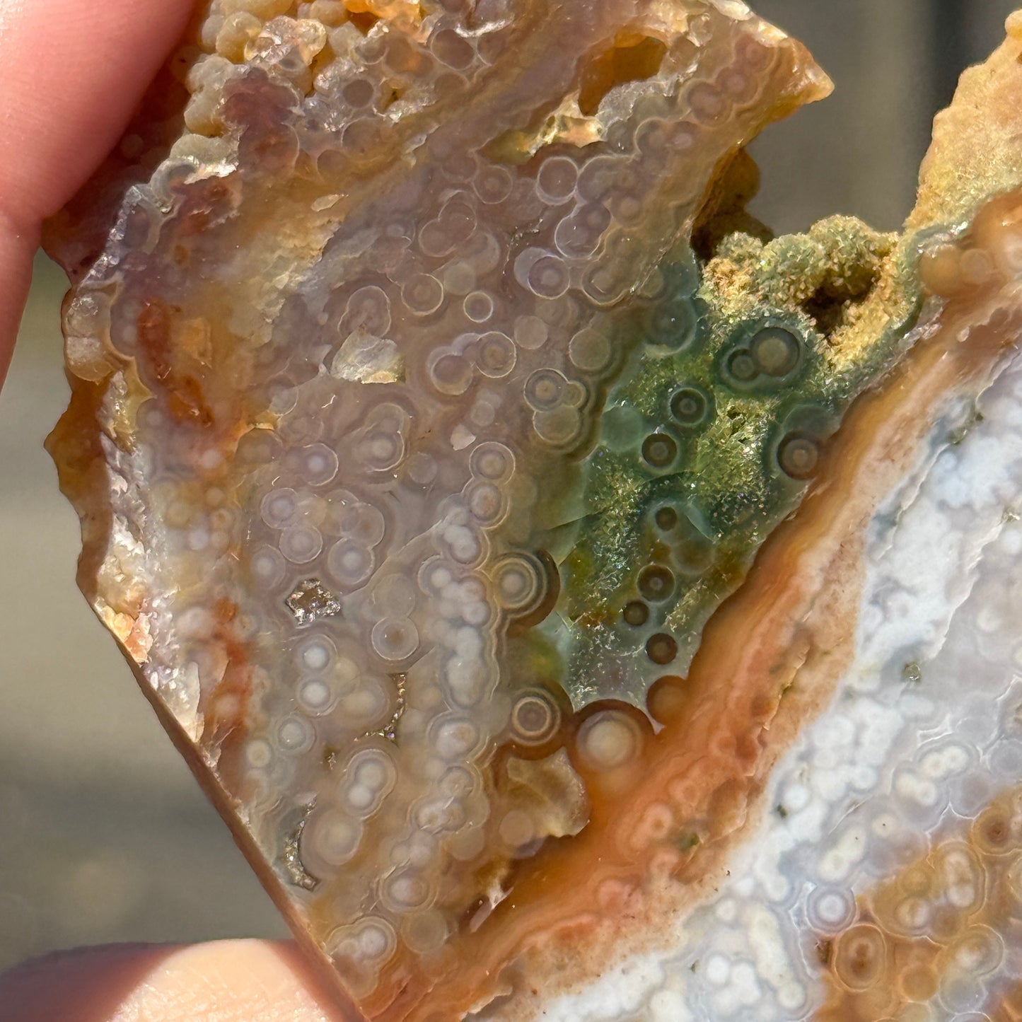 Ocean Jasper Slab