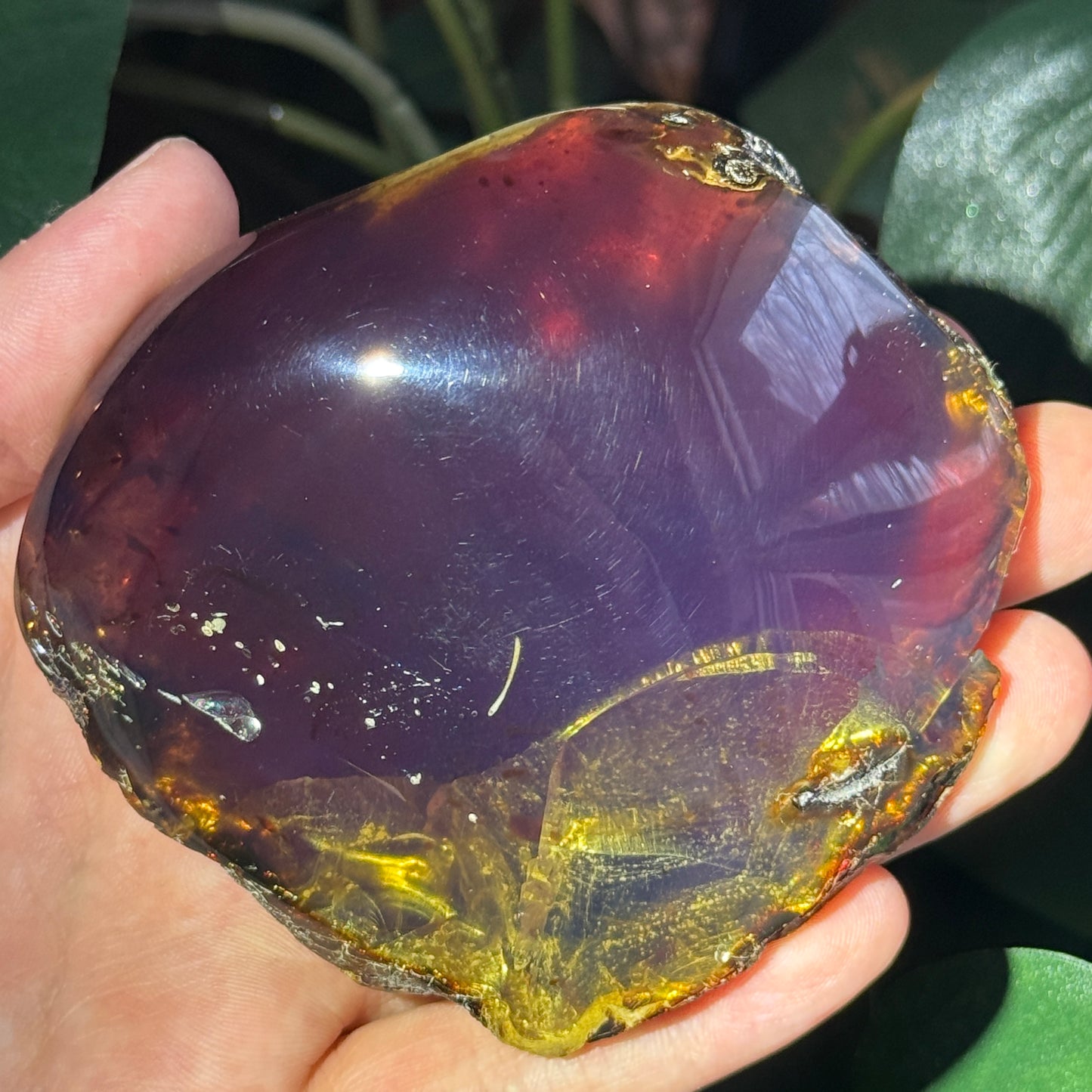 Sumatran Amber