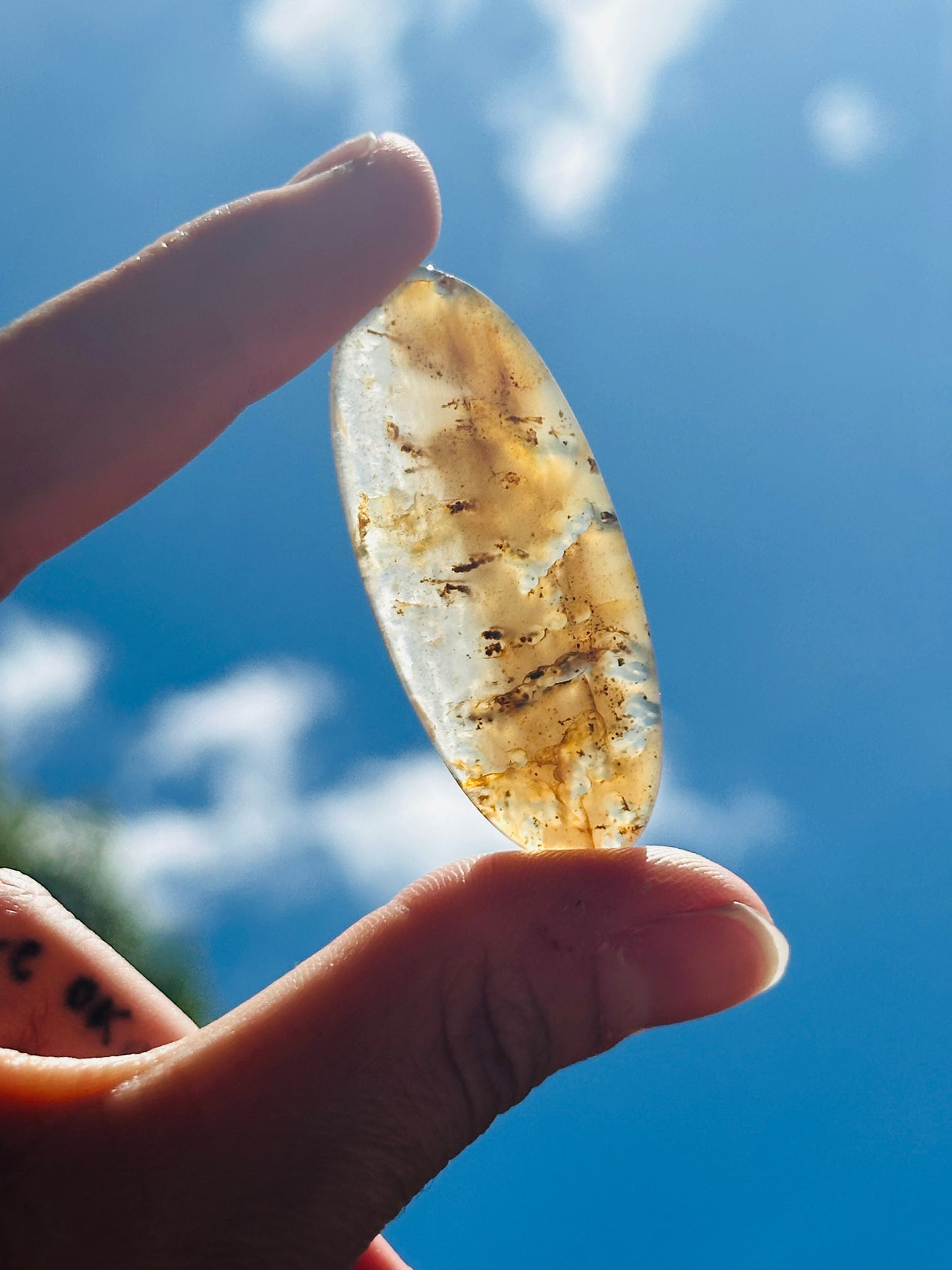 Montana Agate Cabochon