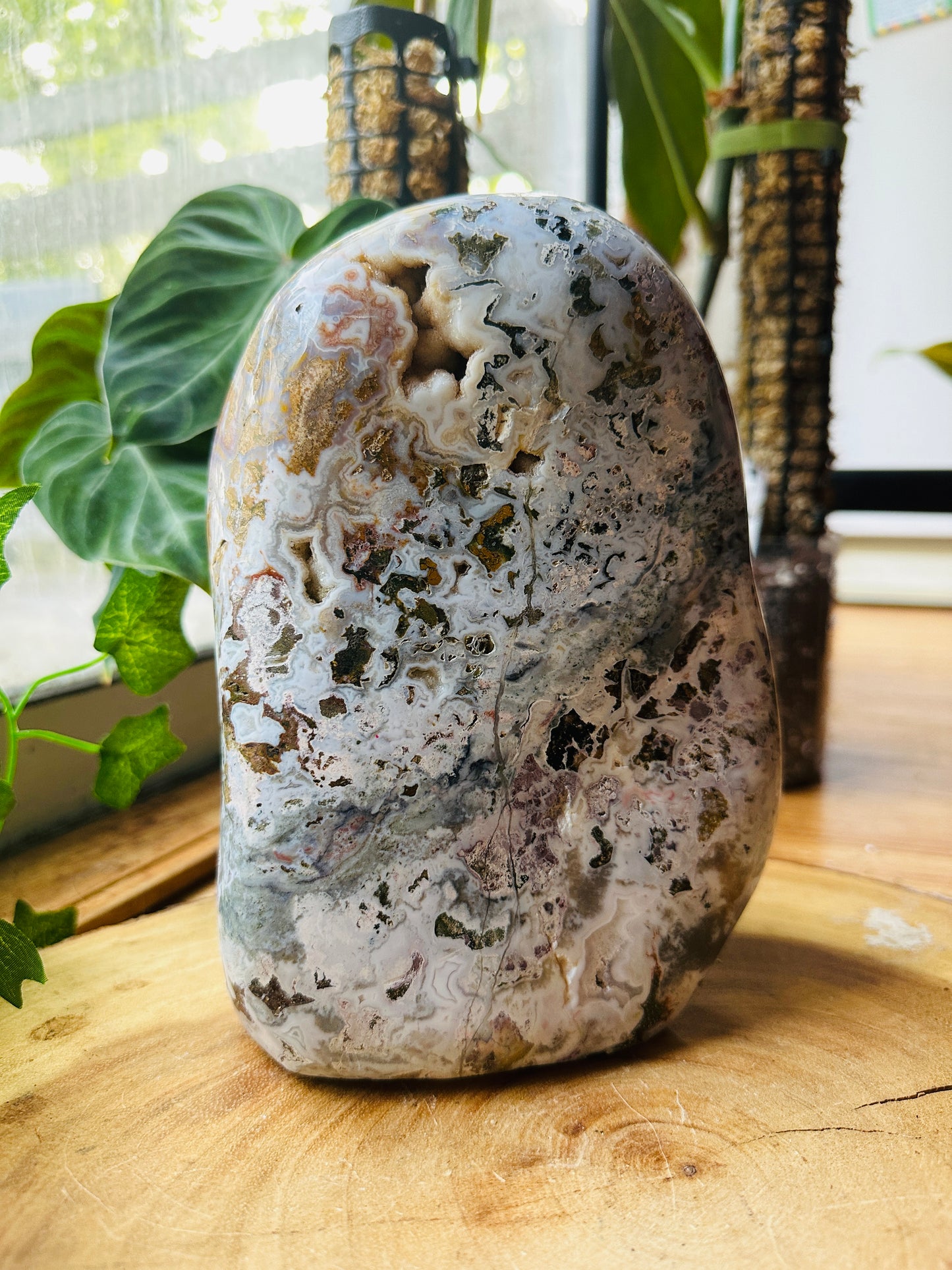 Jasper Freeform 8lbs