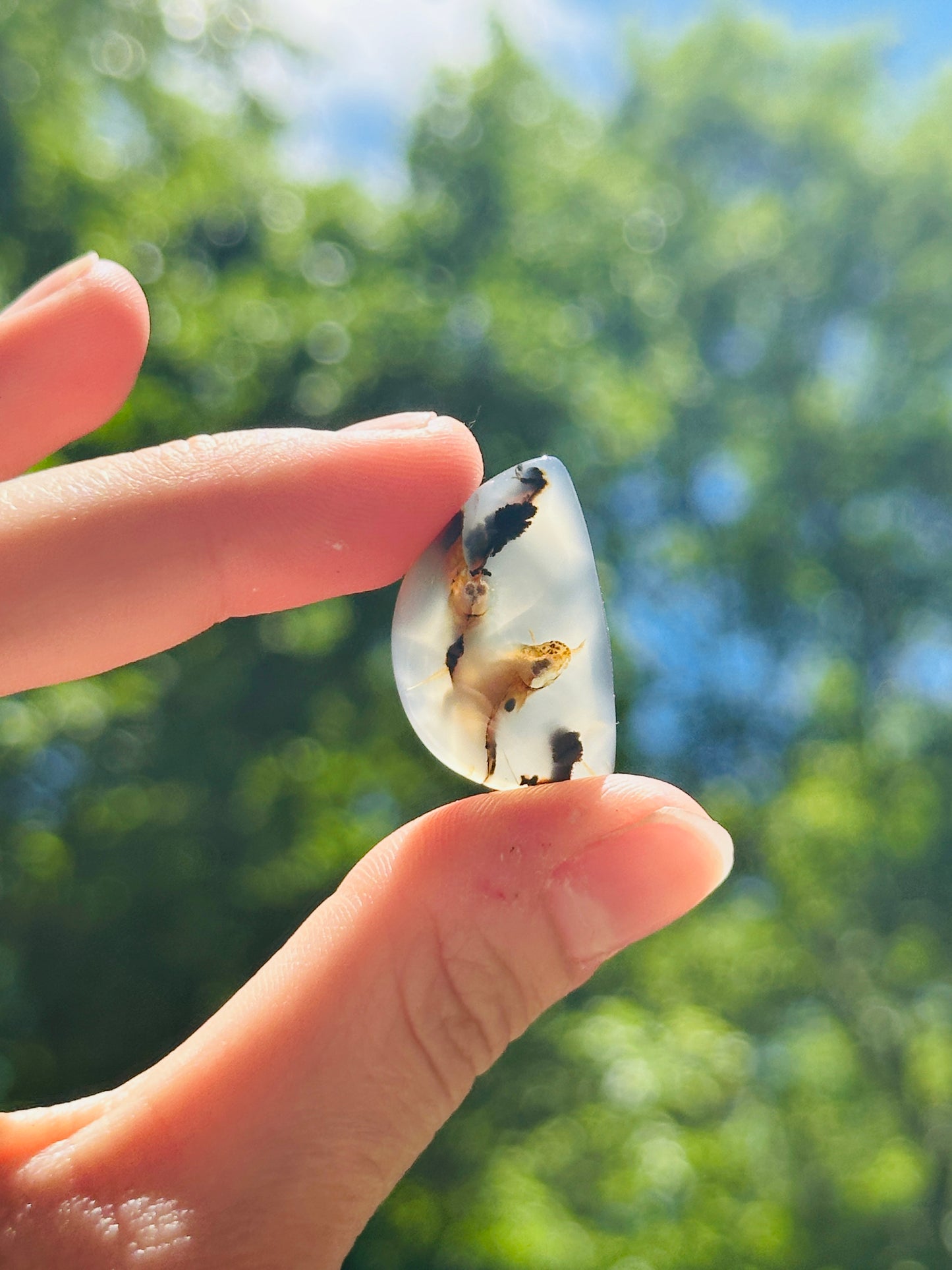 Montana Agate Cabochon