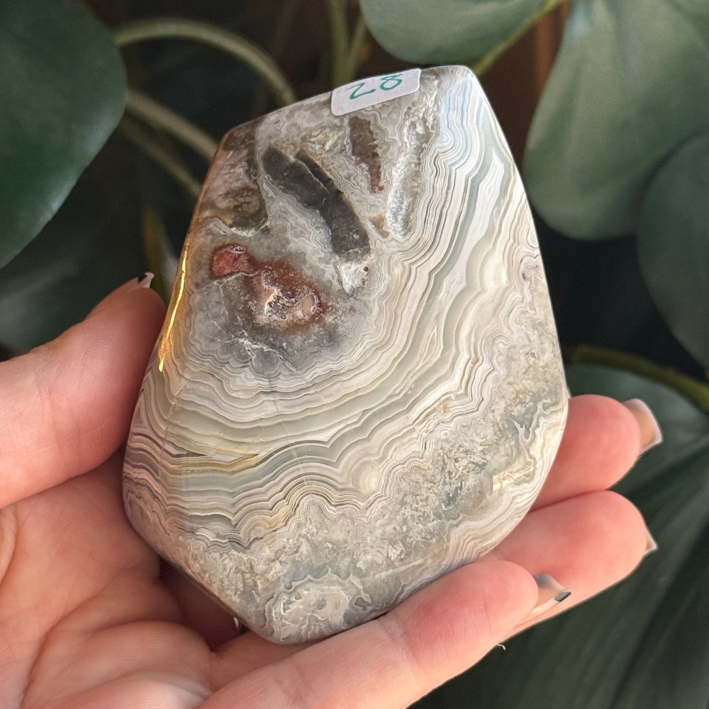 Crazy Lace Agate